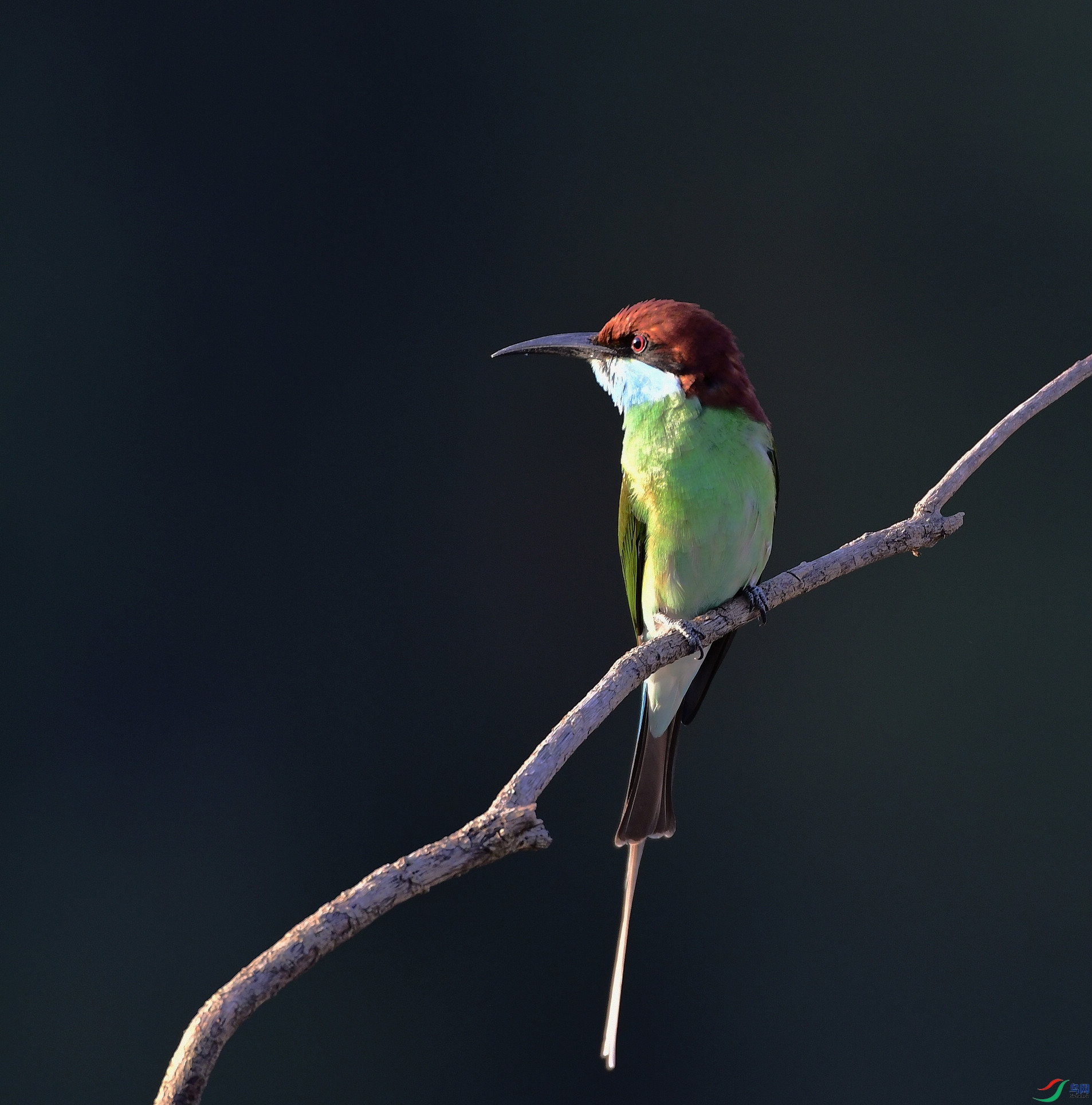 _D5D9571.jpg