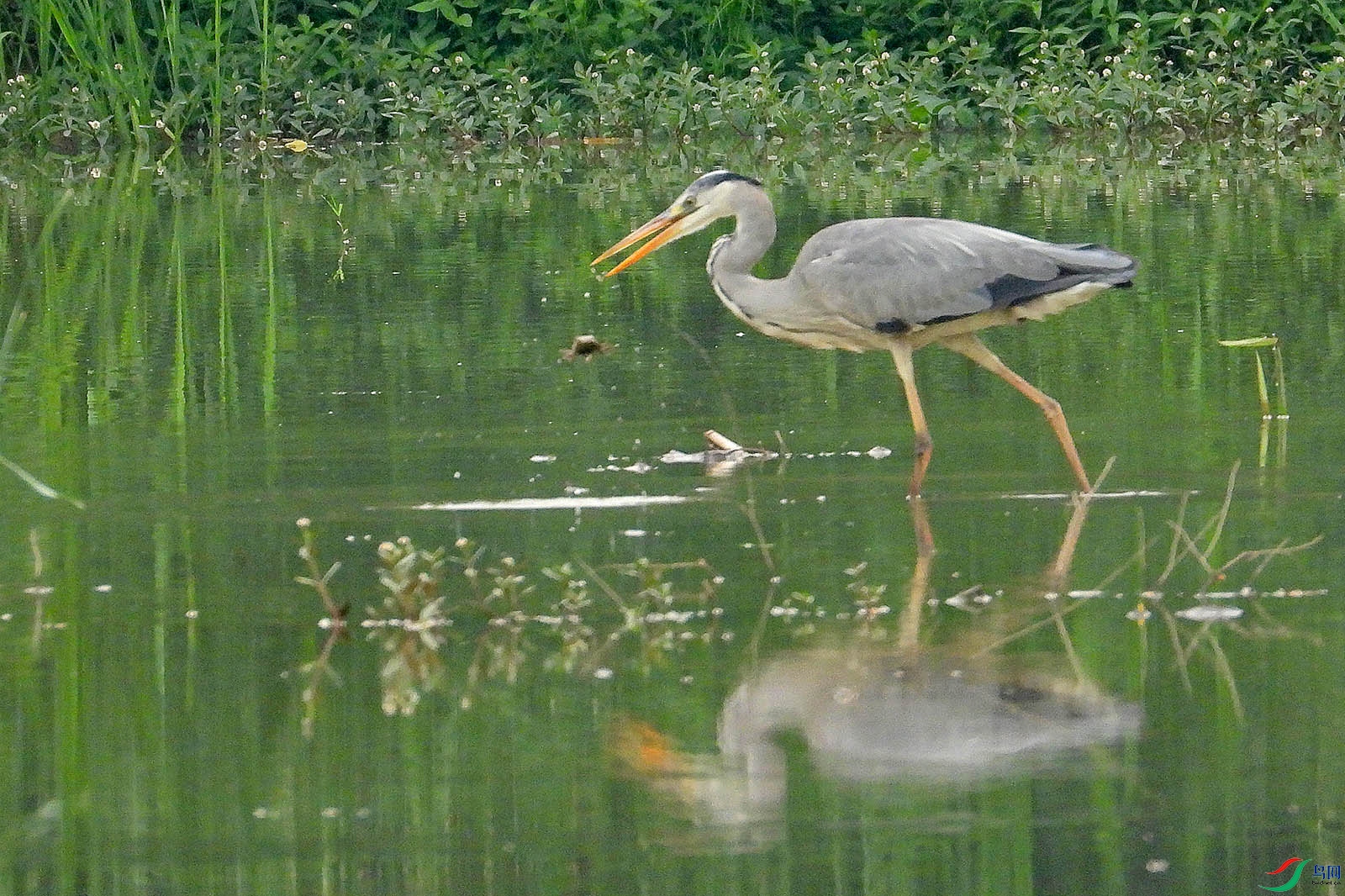 DSCN6383.jpg