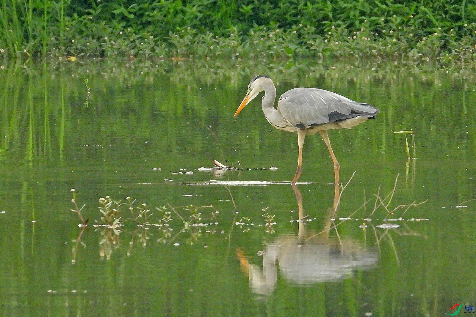 DSCN6381.jpg