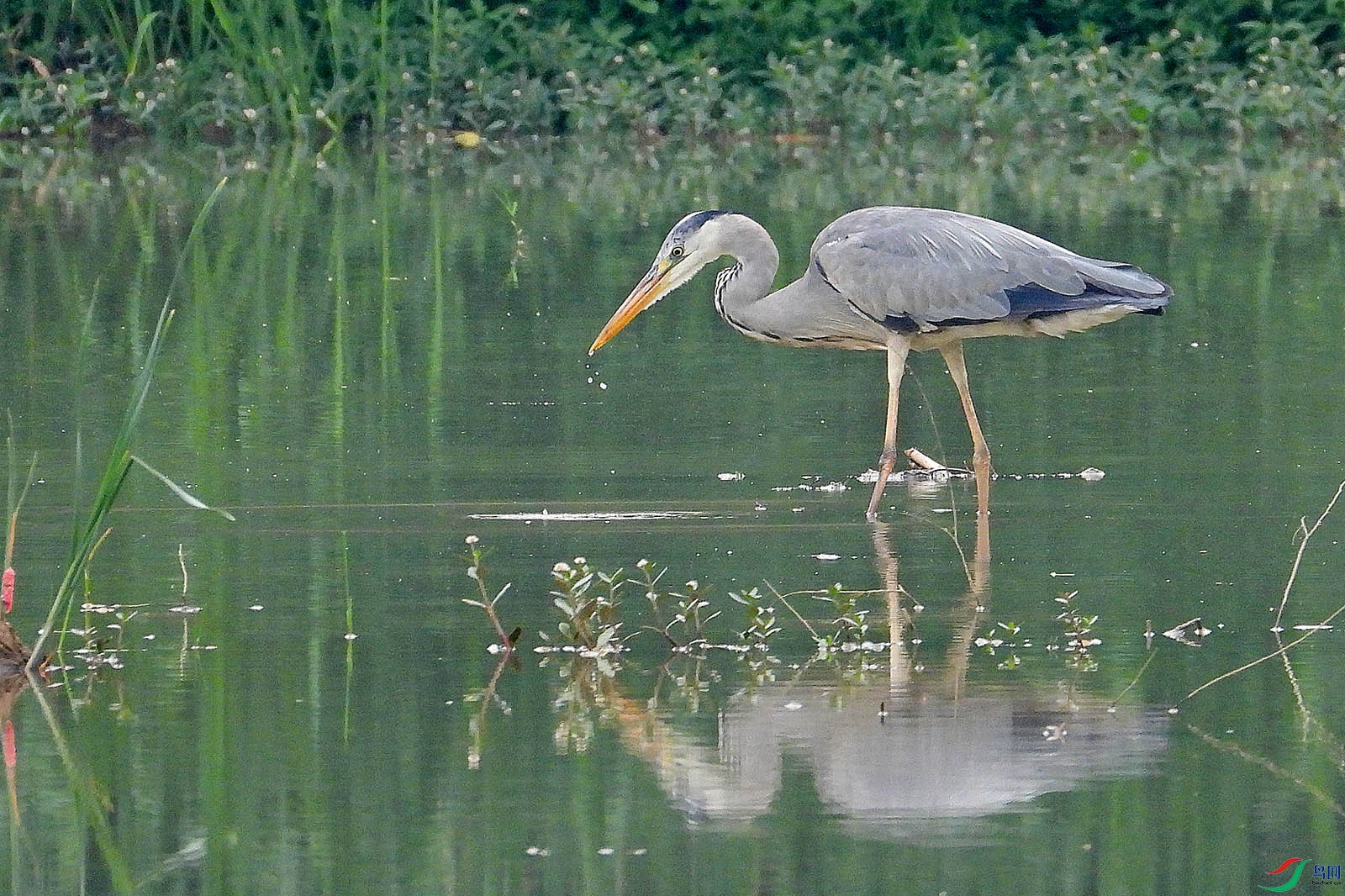 DSCN6388.jpg