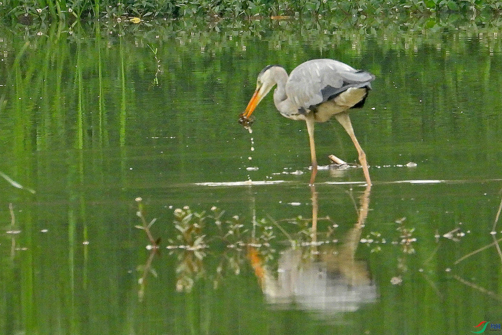 DSCN6384.jpg