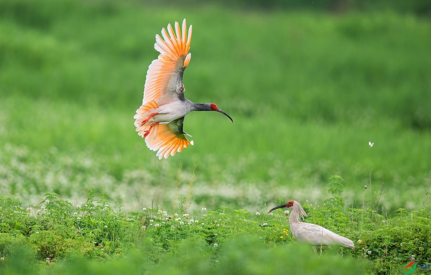 DSC_7527 ����_����.jpg