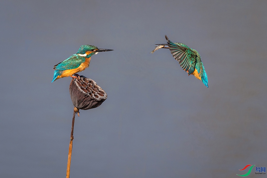 0R5A8408 ����.jpg