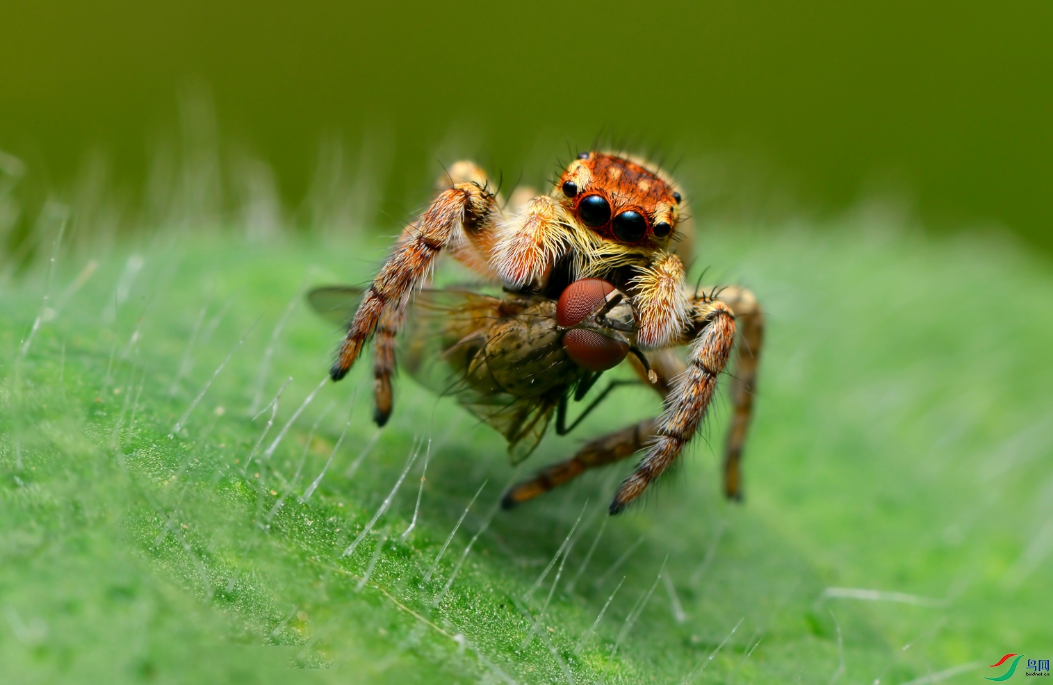 DSC_7330 ����.jpg