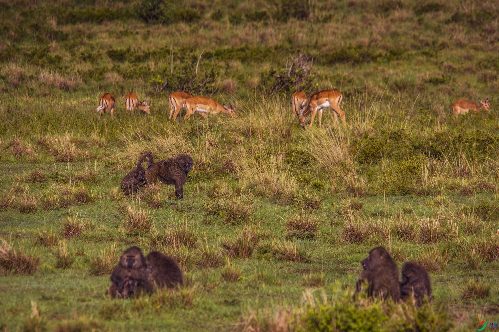 DSC_0628.jpg