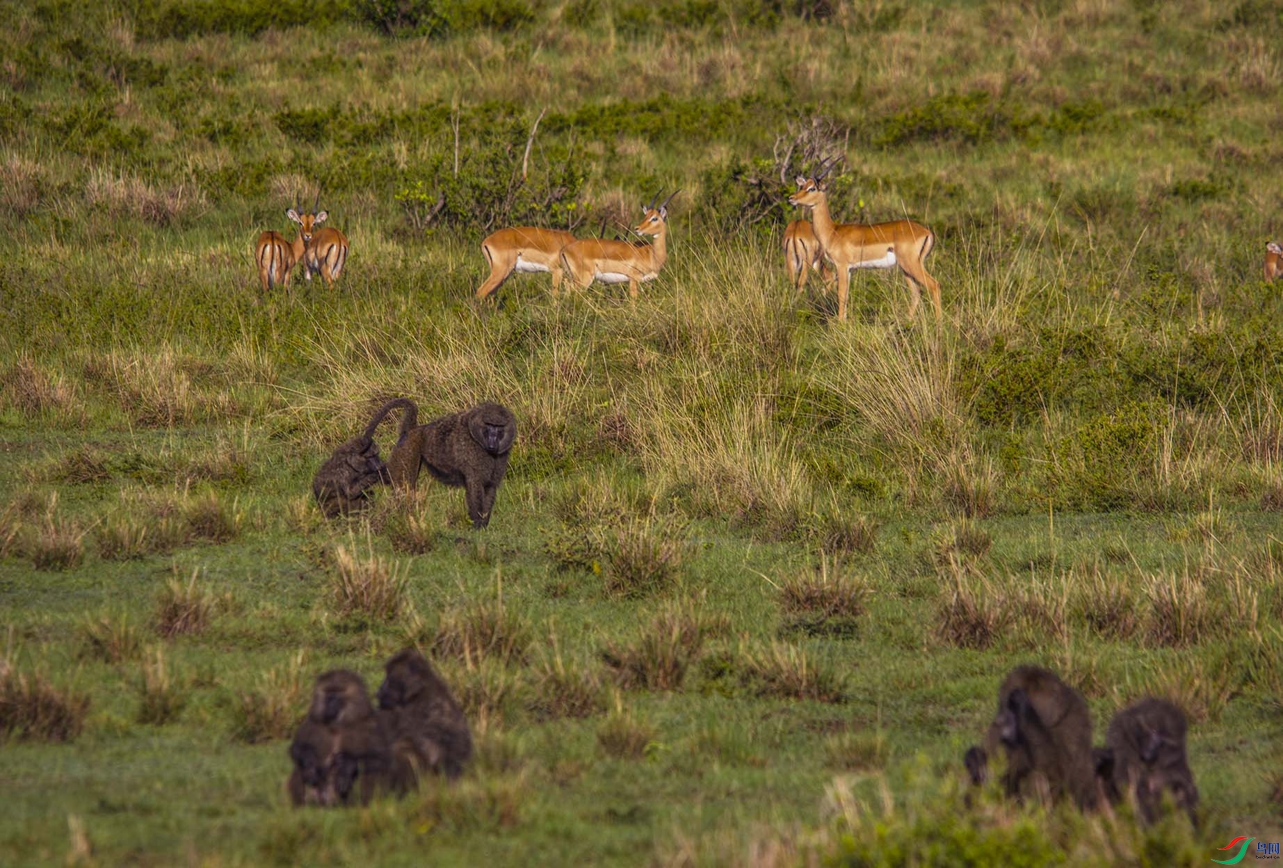 DSC_0632.jpg