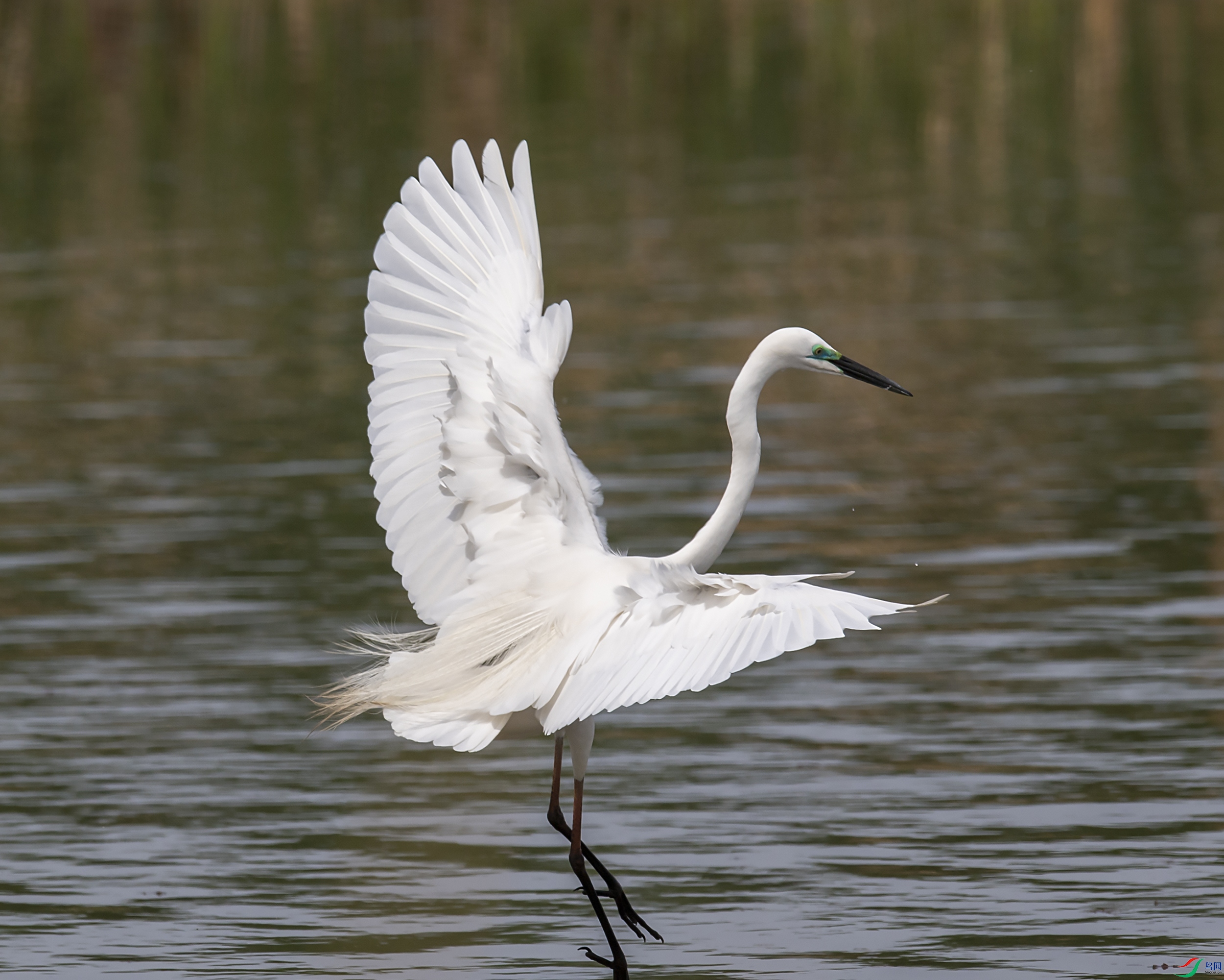 DSC_1594.jpg
