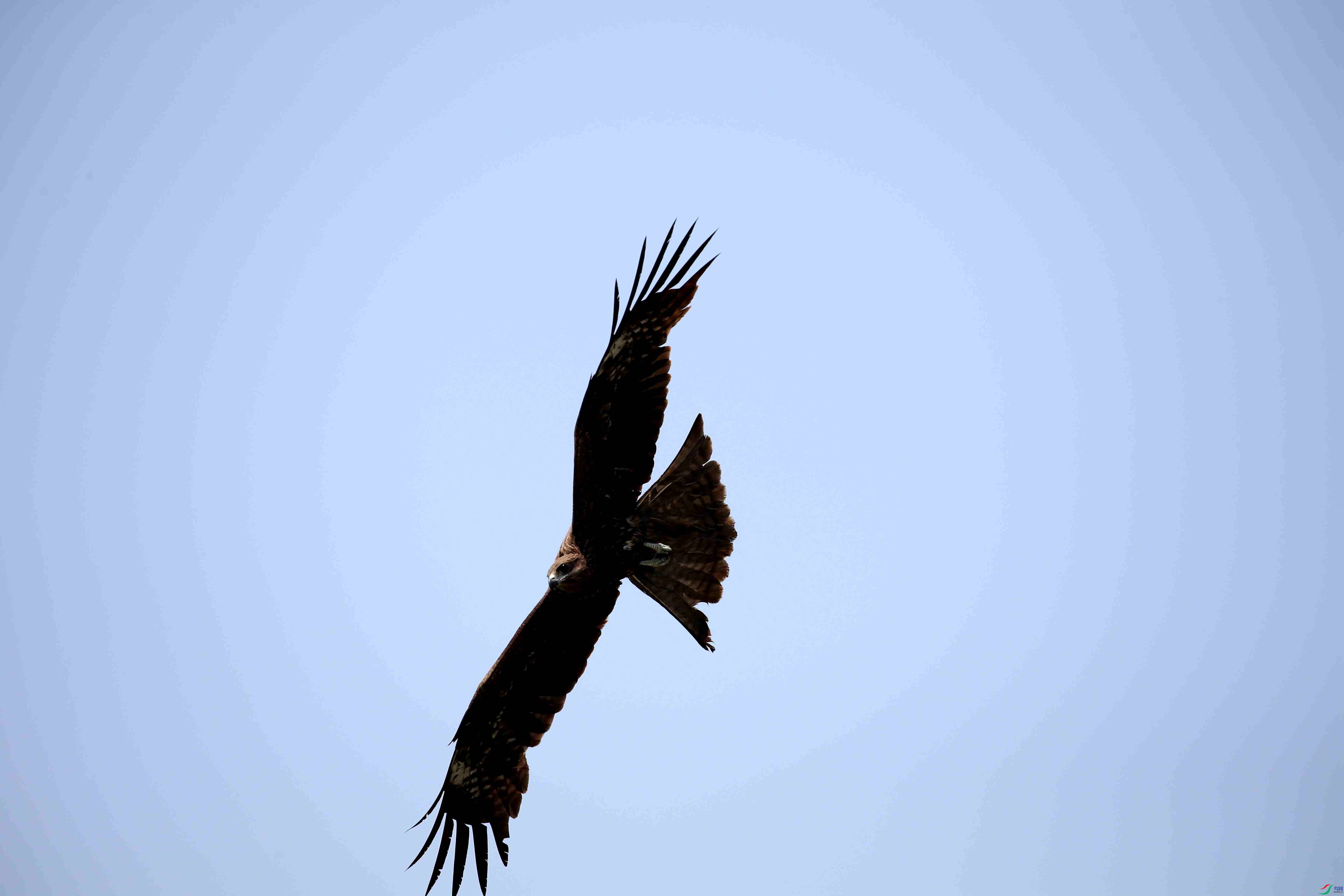 �����²���