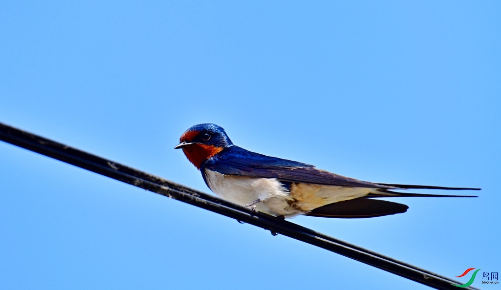 DSC_8046.jpg