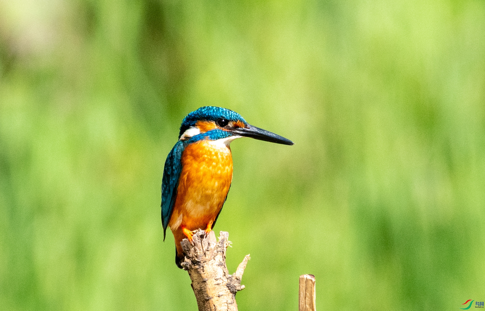 DSC_5347.jpg