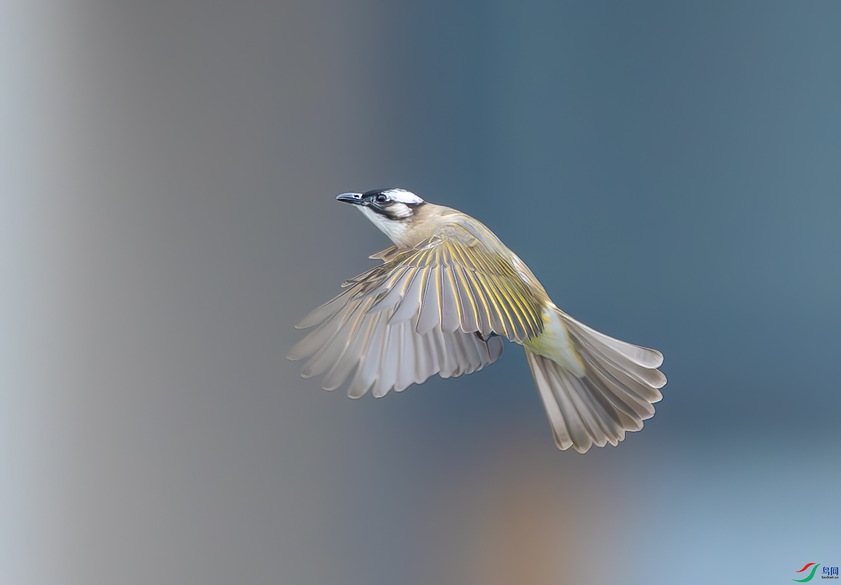 DSC_7605.jpg