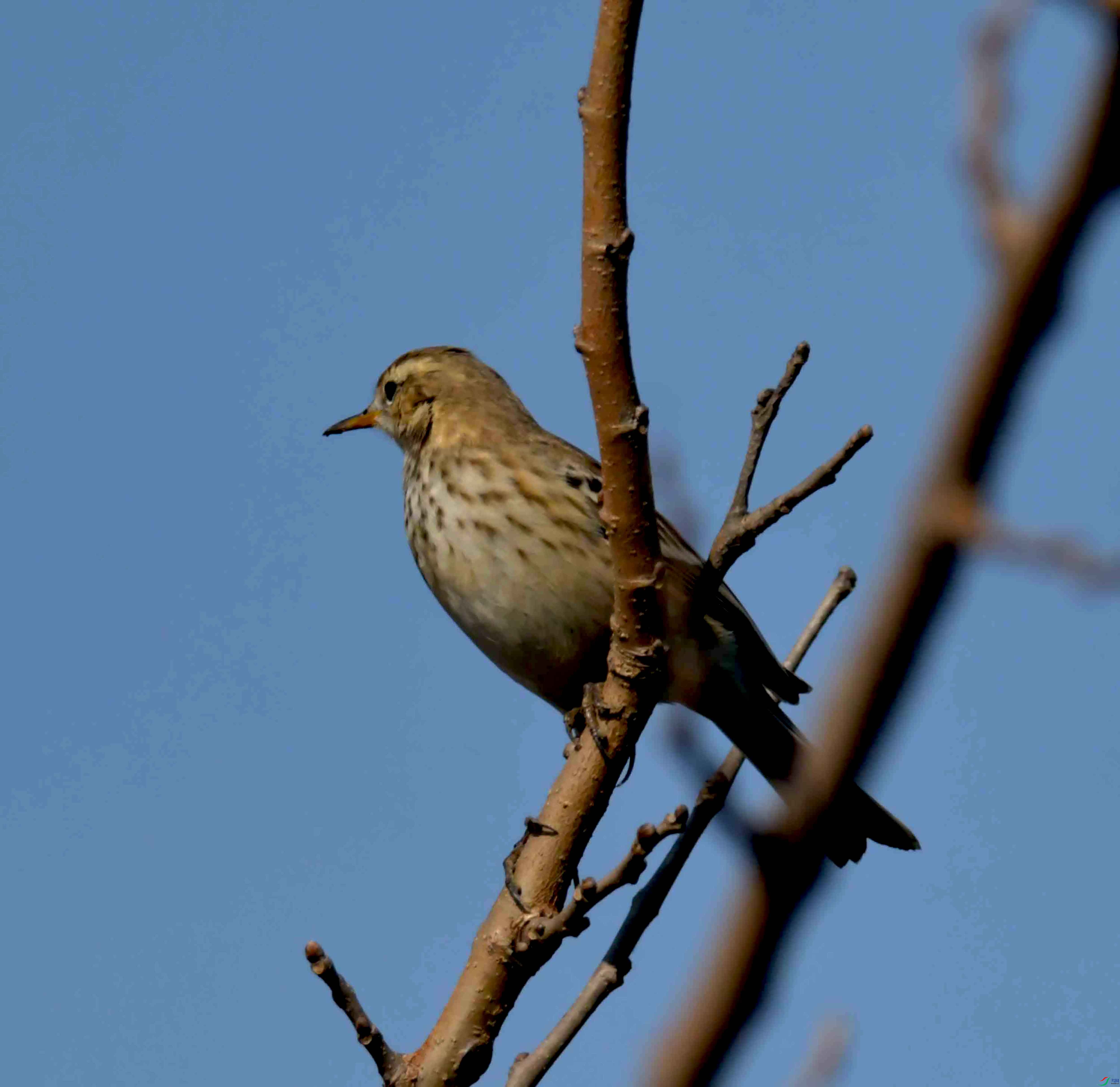 DSC_0782.JPG