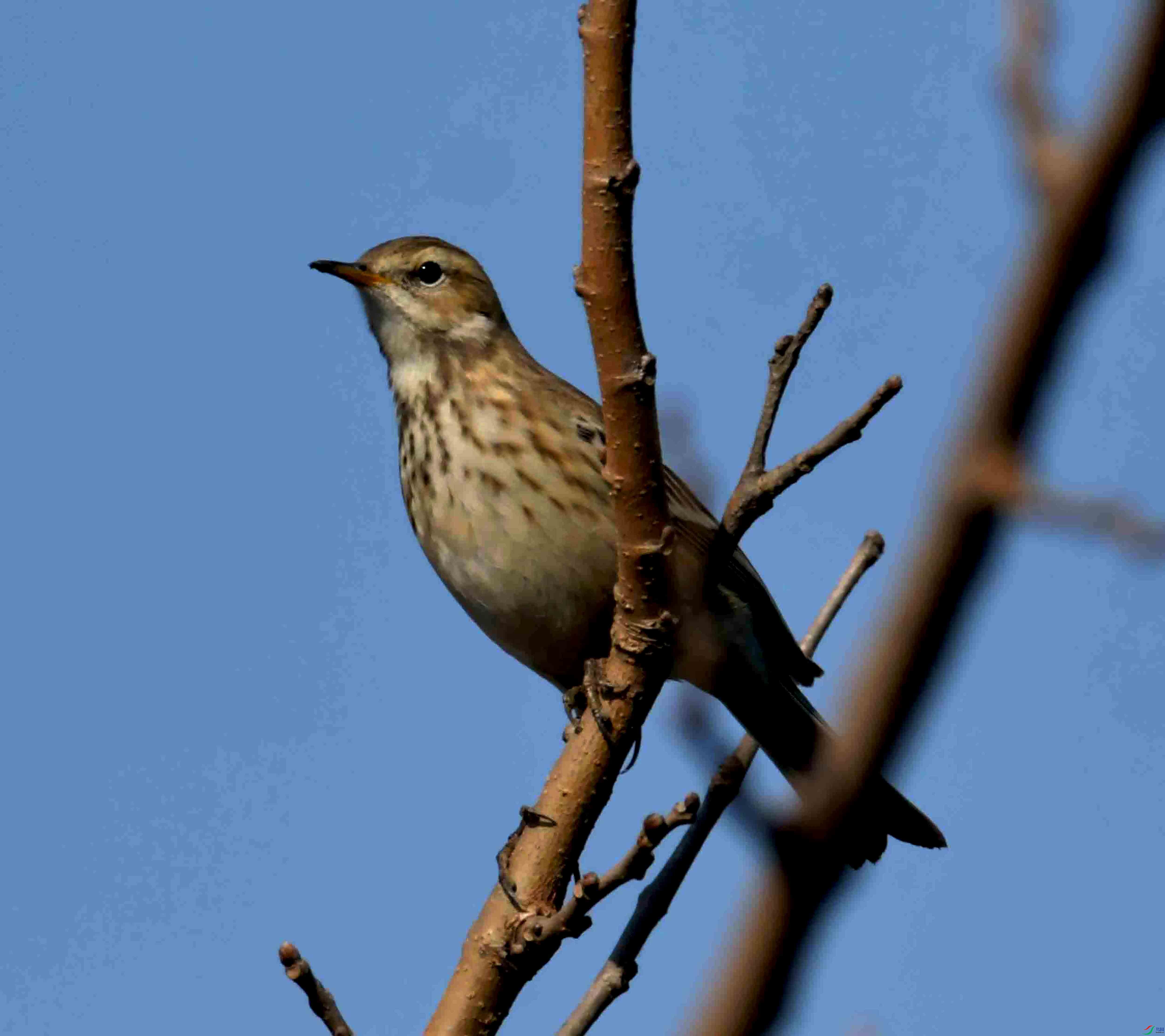 DSC_0783.JPG
