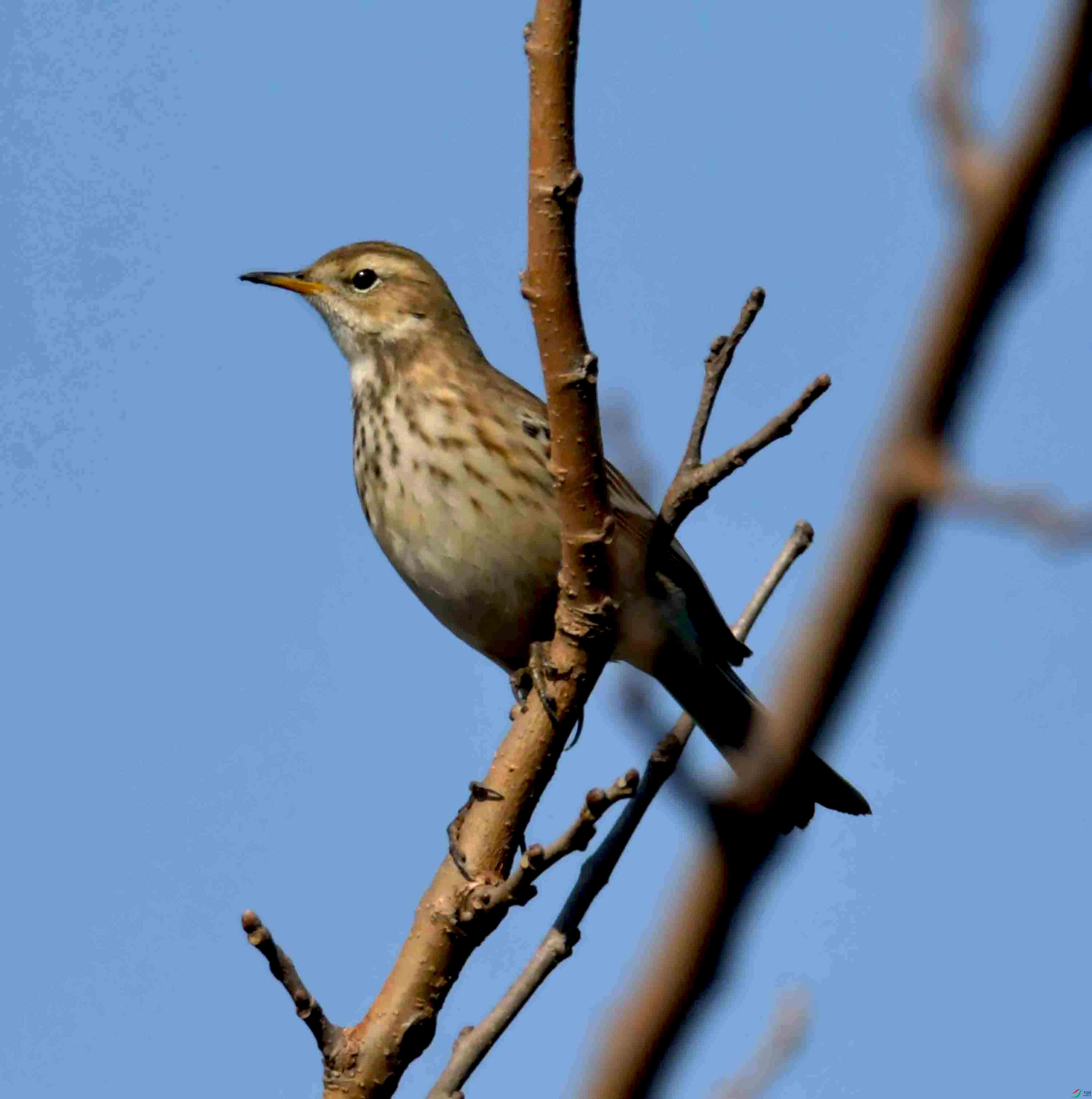 DSC_0784.JPG