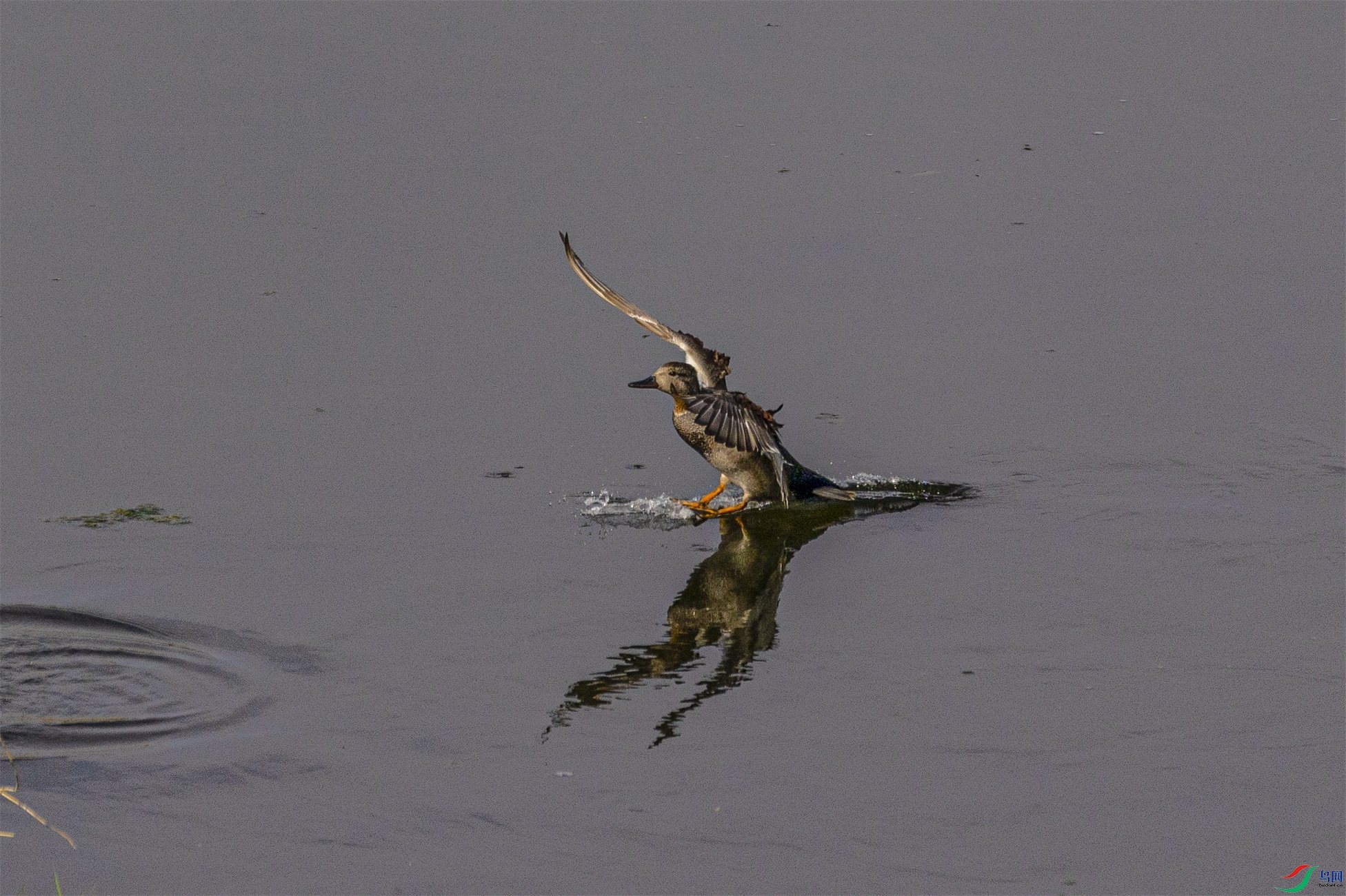 1K3A8001 ����1.jpg