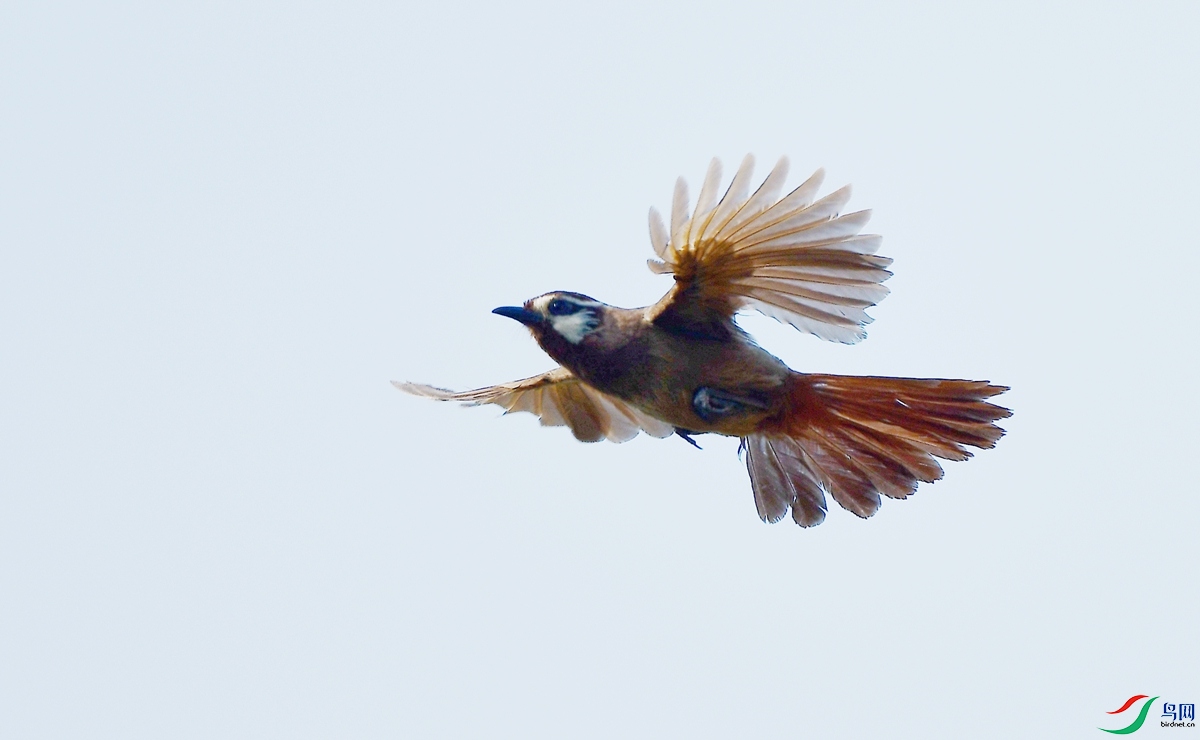DSC_8728.JPG