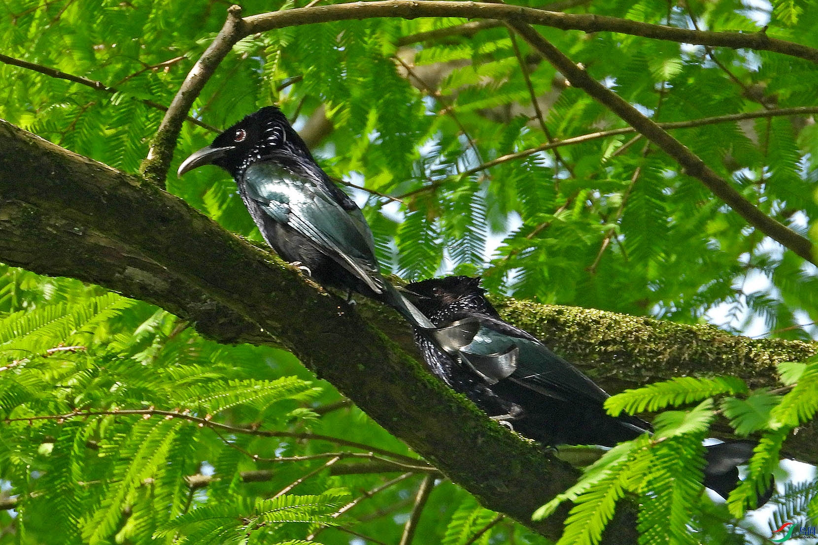 DSCN6180.jpg