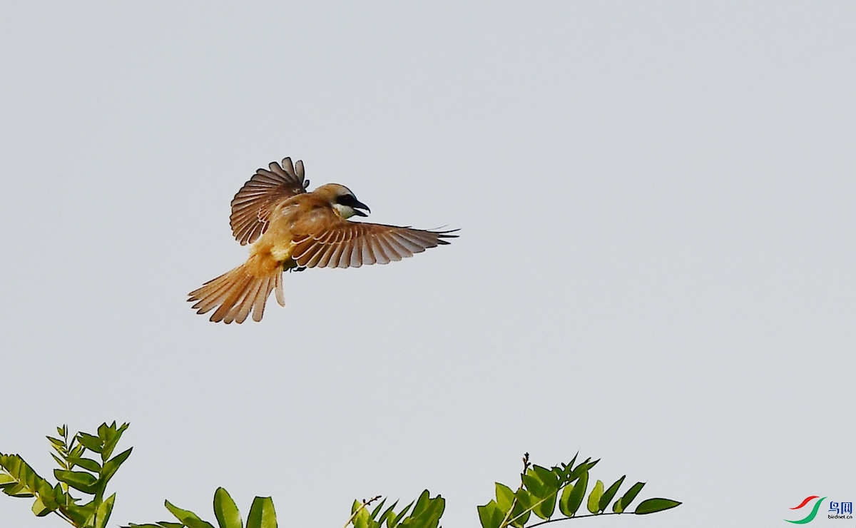 DSC_9045.JPG