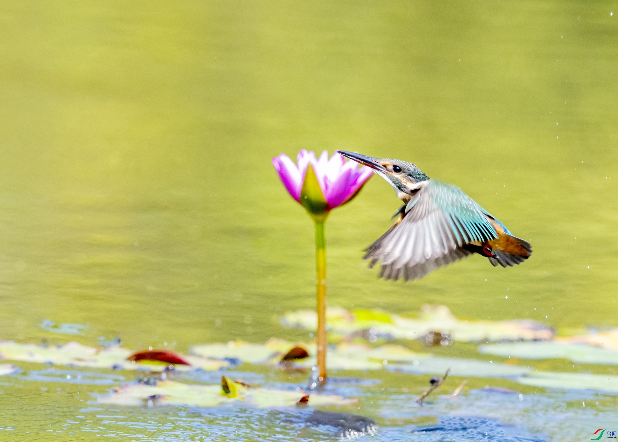 0243 ����.jpg