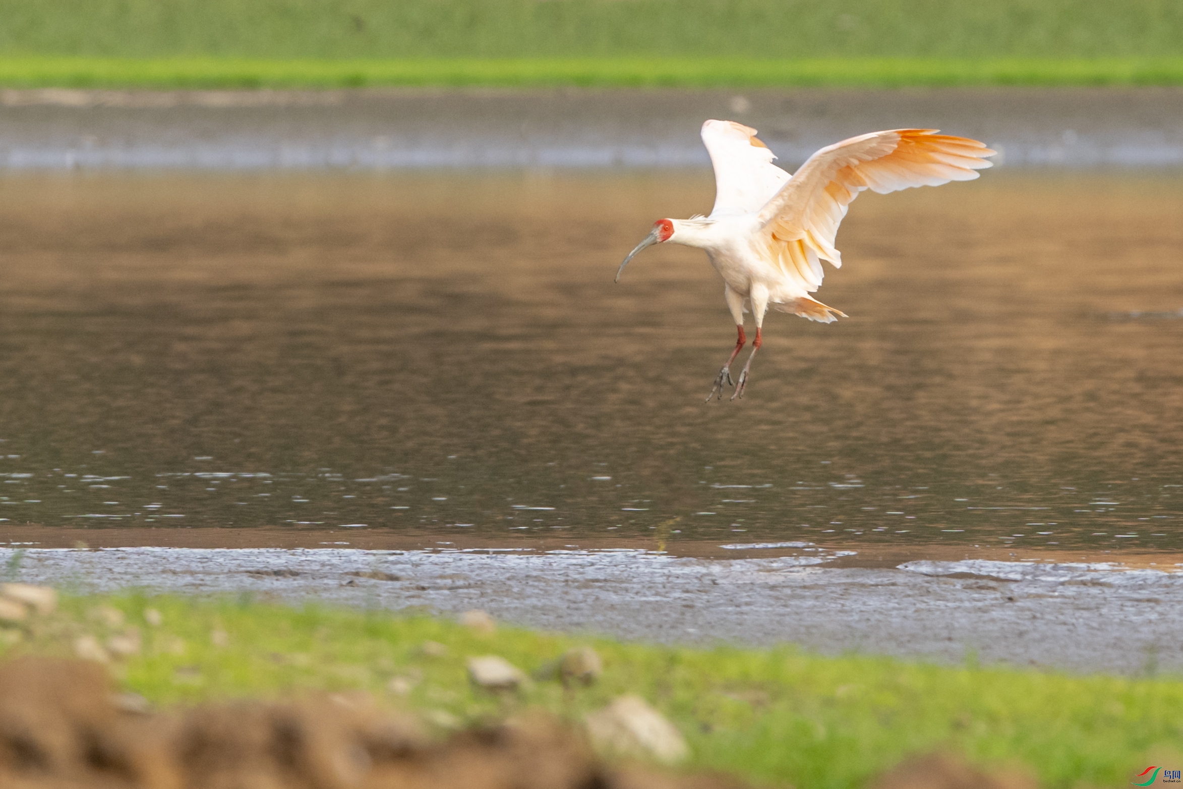 2938 ��������.jpg