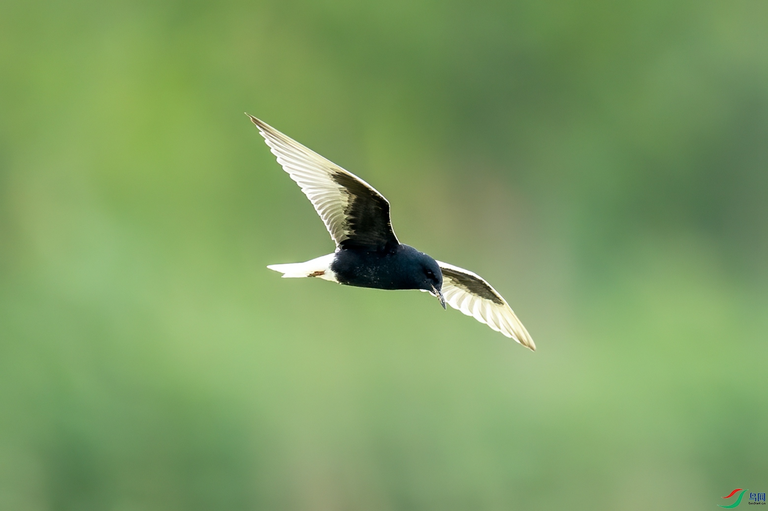 0S9A5765_����_����_����.jpg