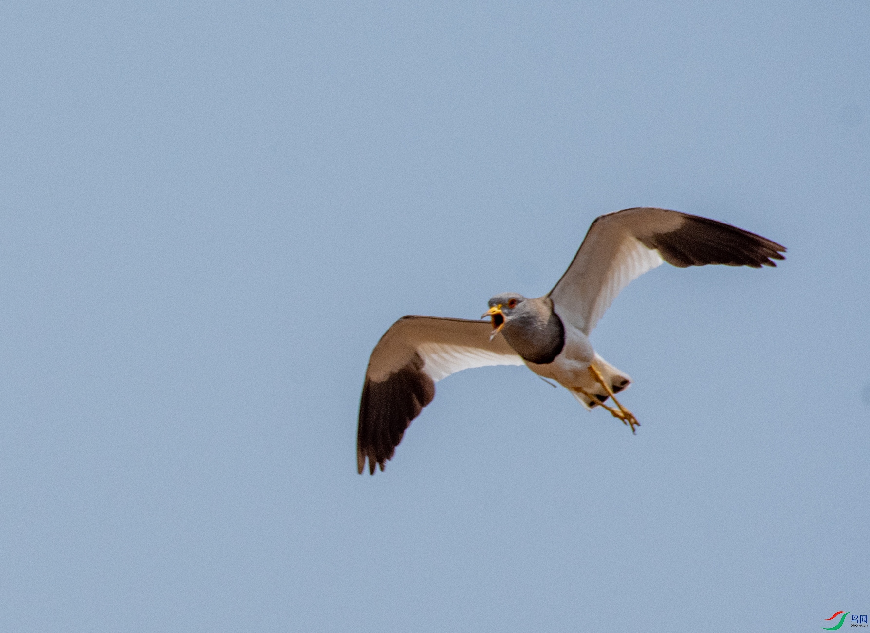 DSC_3468.jpg