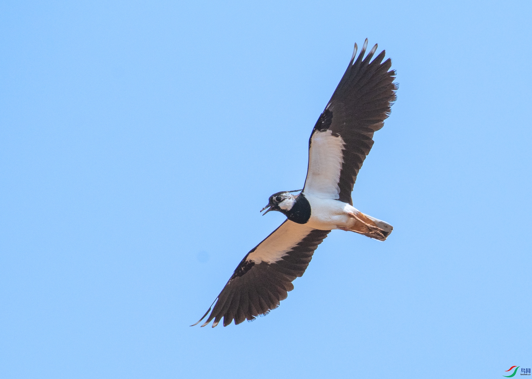 DSC_3516.jpg