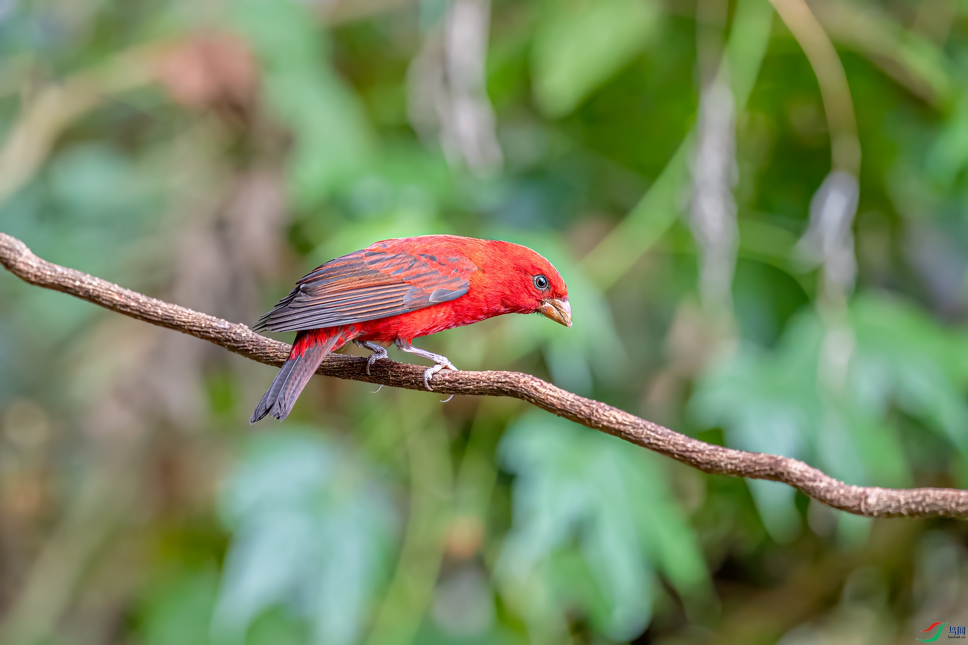 _DSC9356.jpg