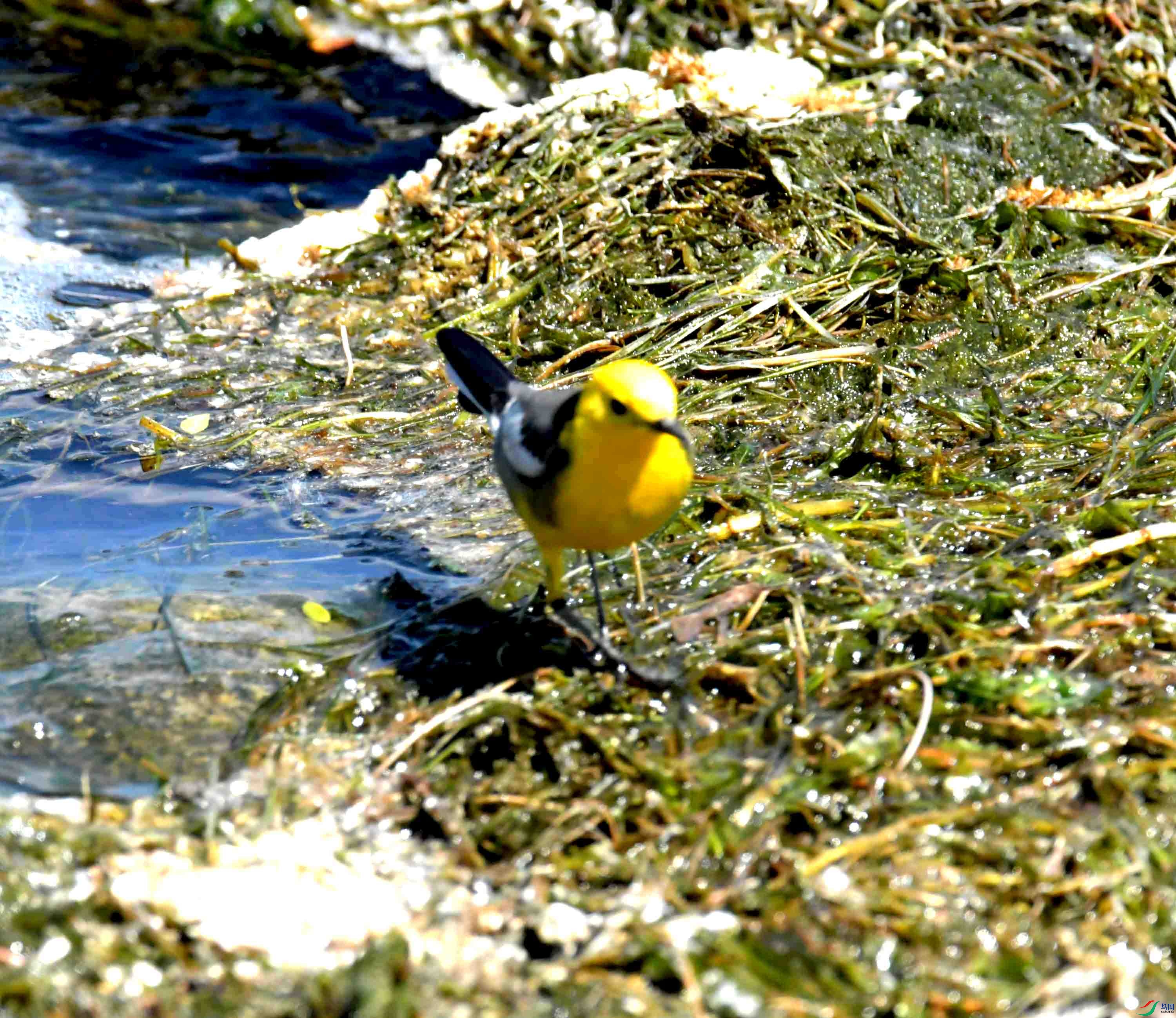 DSC_0140.JPG