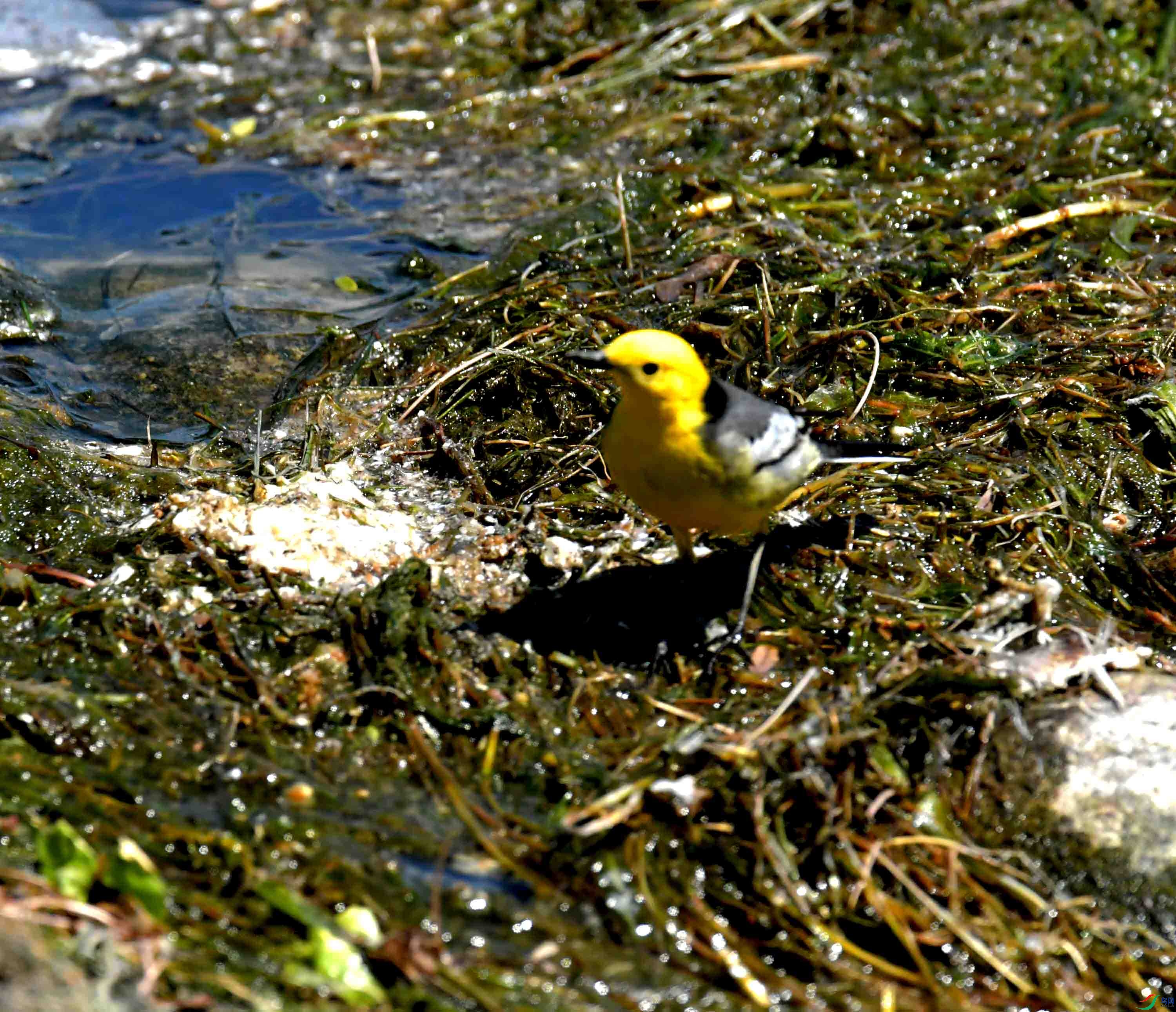 DSC_0144.JPG