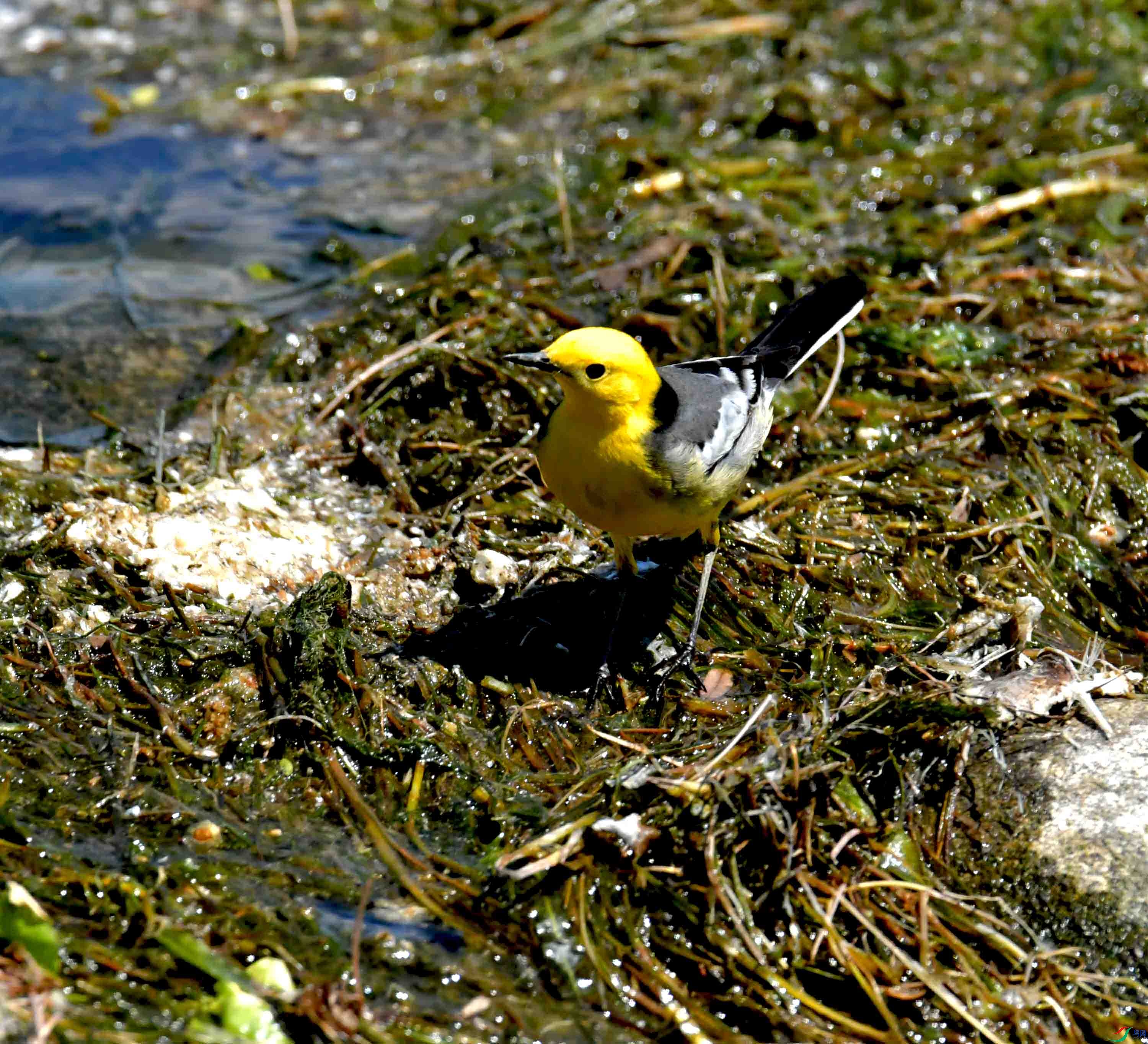 DSC_0143.JPG