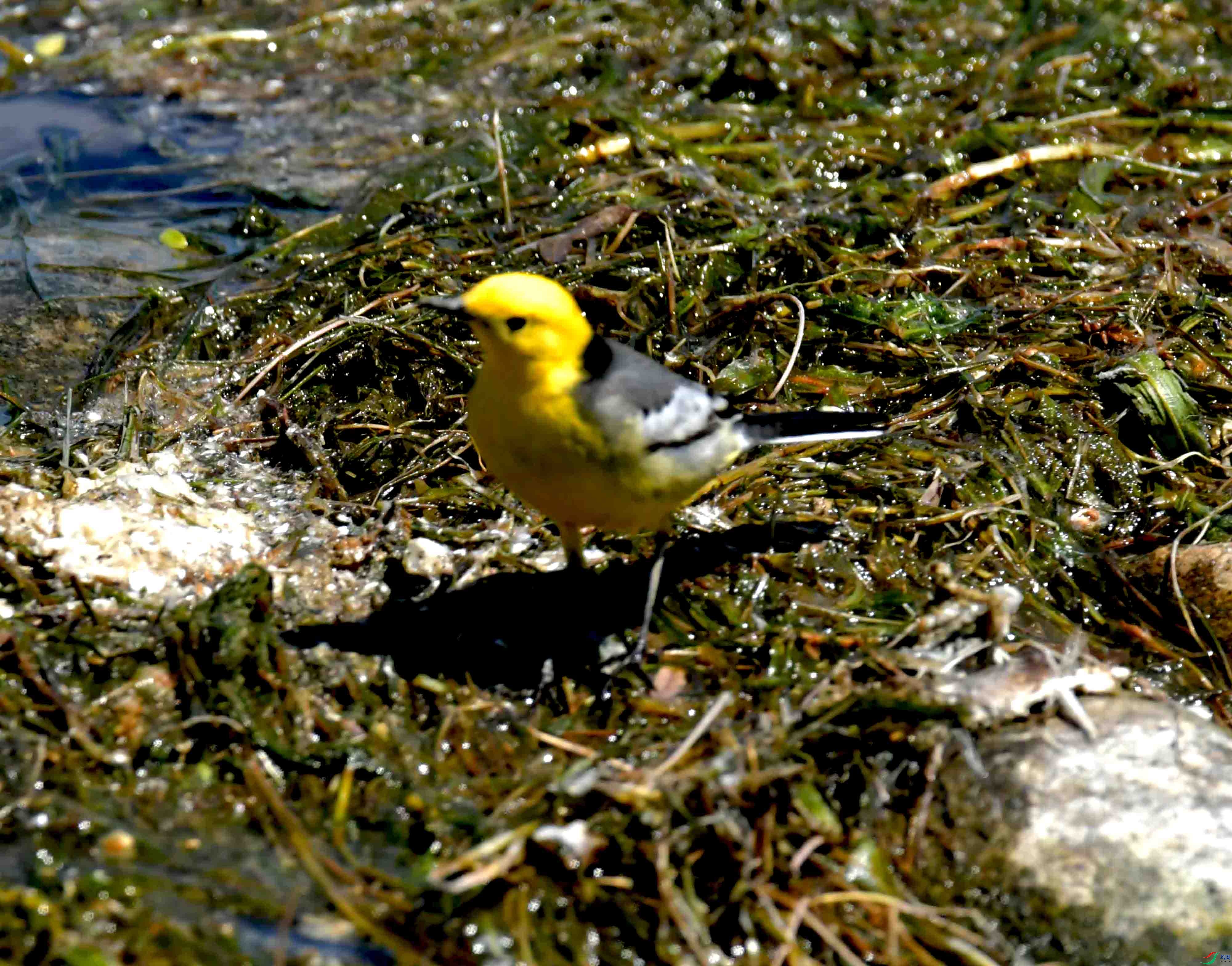 DSC_0148.JPG