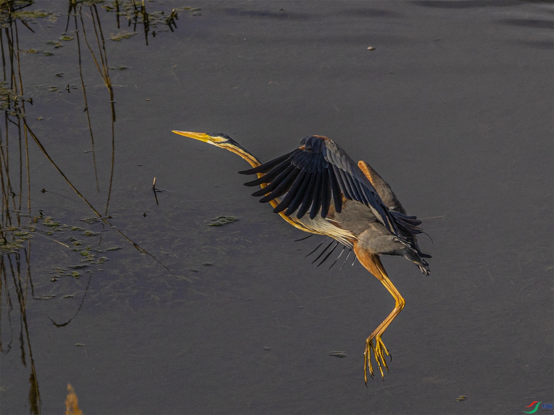 1K3A7826 ����1.jpg