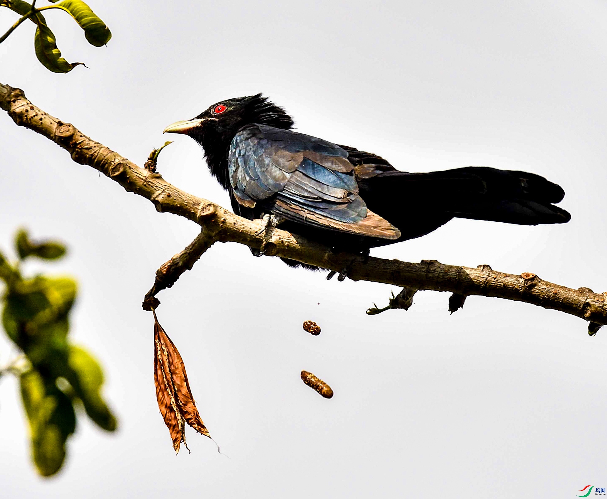 DSC_9914.jpg