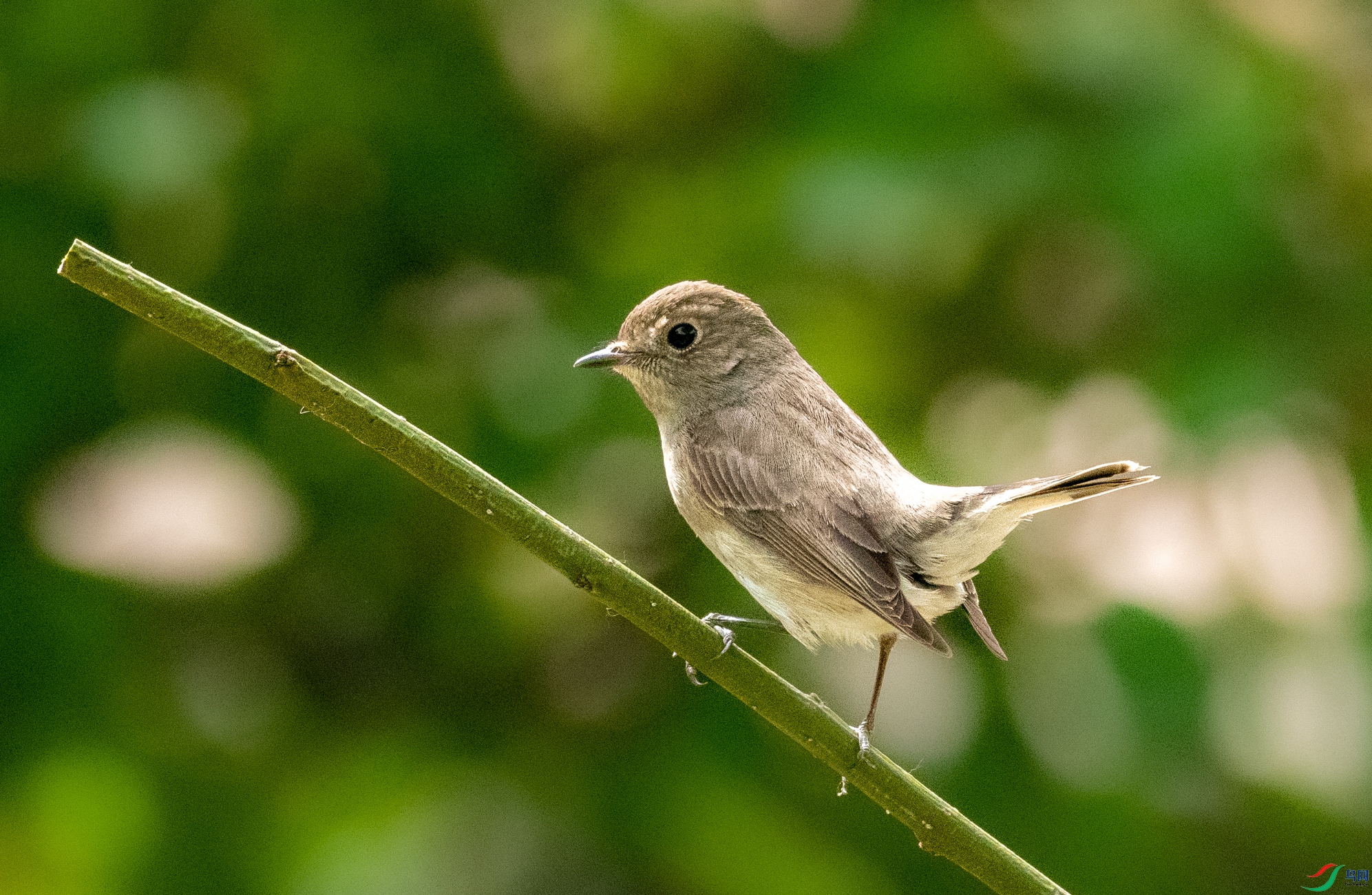 DSC_4011.jpg