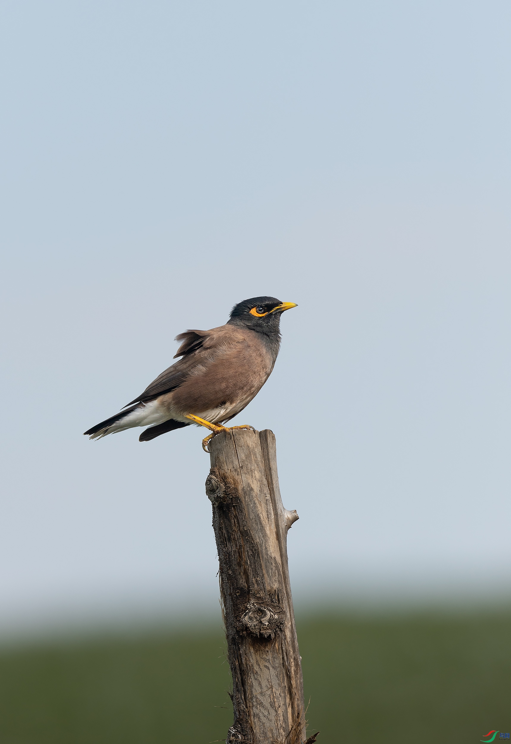 DSC_7359-1.jpg
