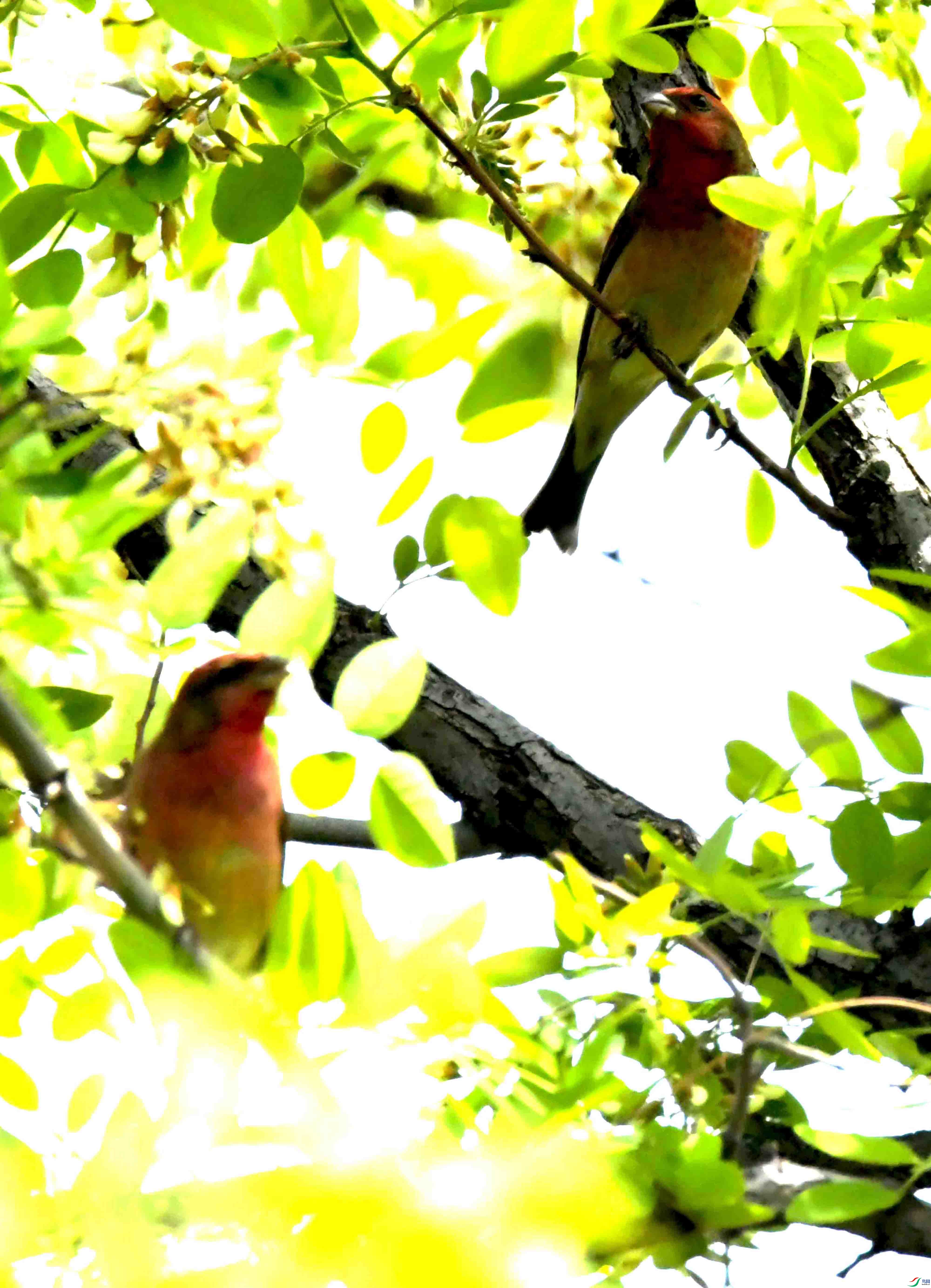DSC_8409.JPG