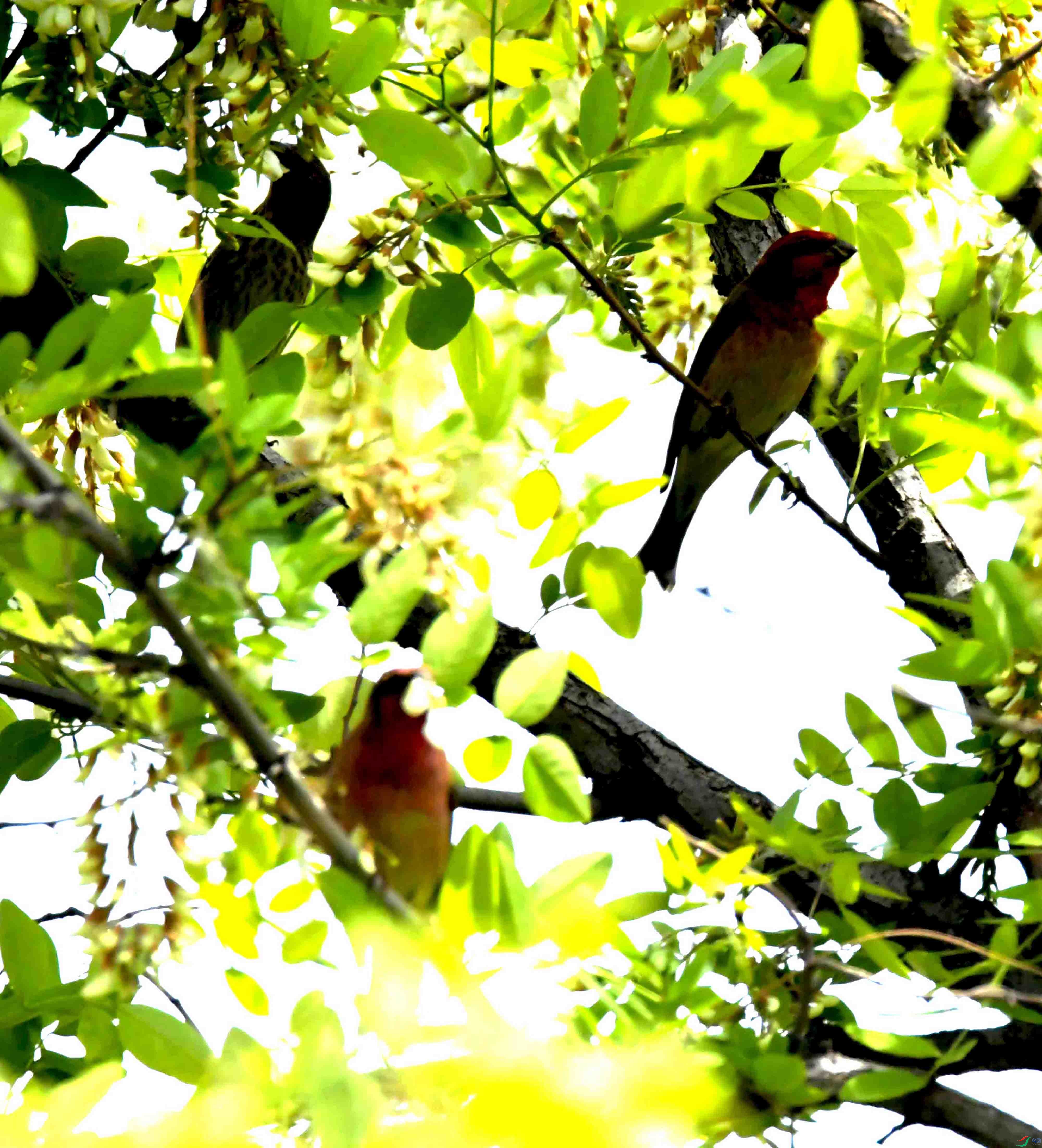 DSC_8419.JPG