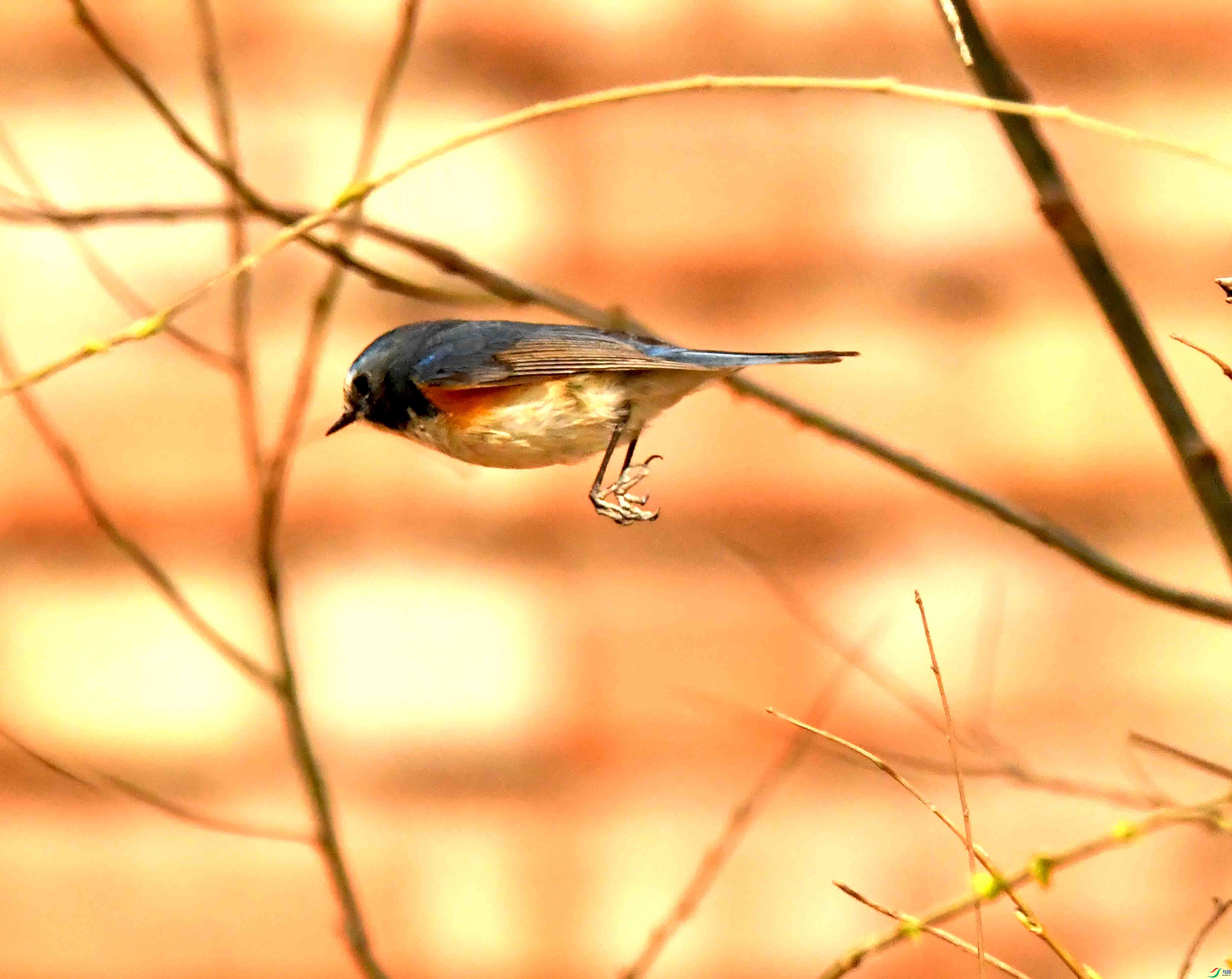 DSC_1273.JPG