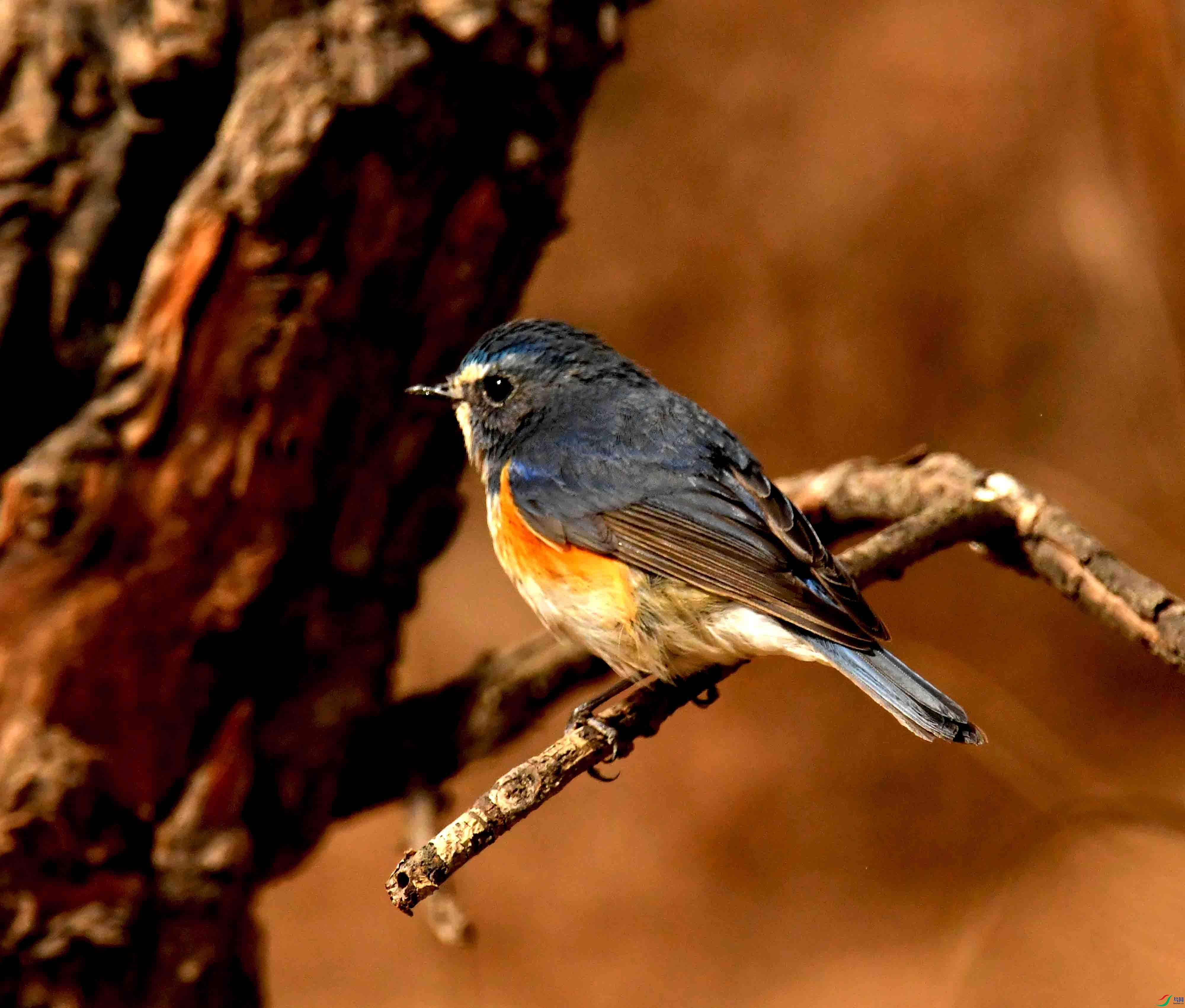 DSC_1318.JPG