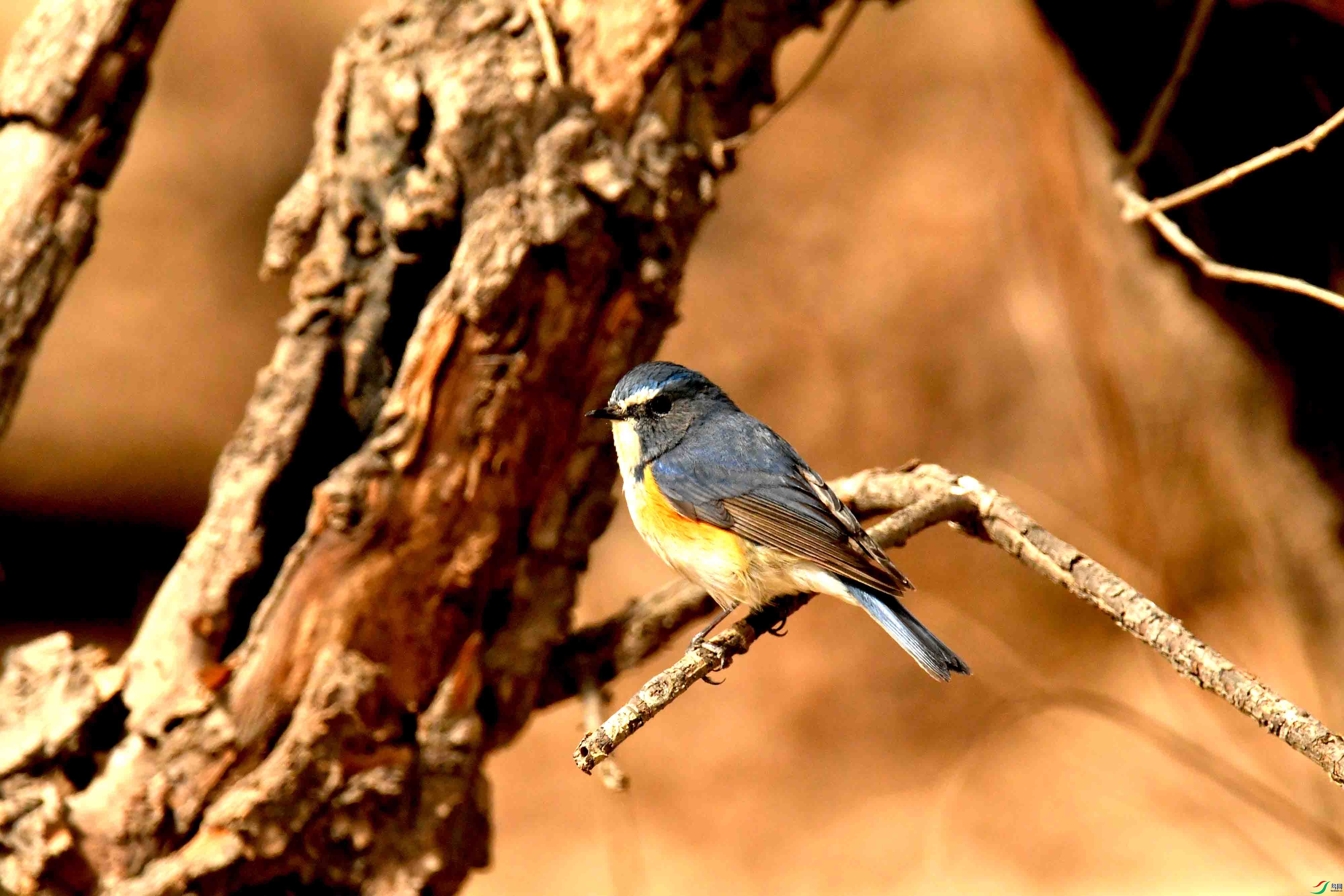 DSC_1328.JPG