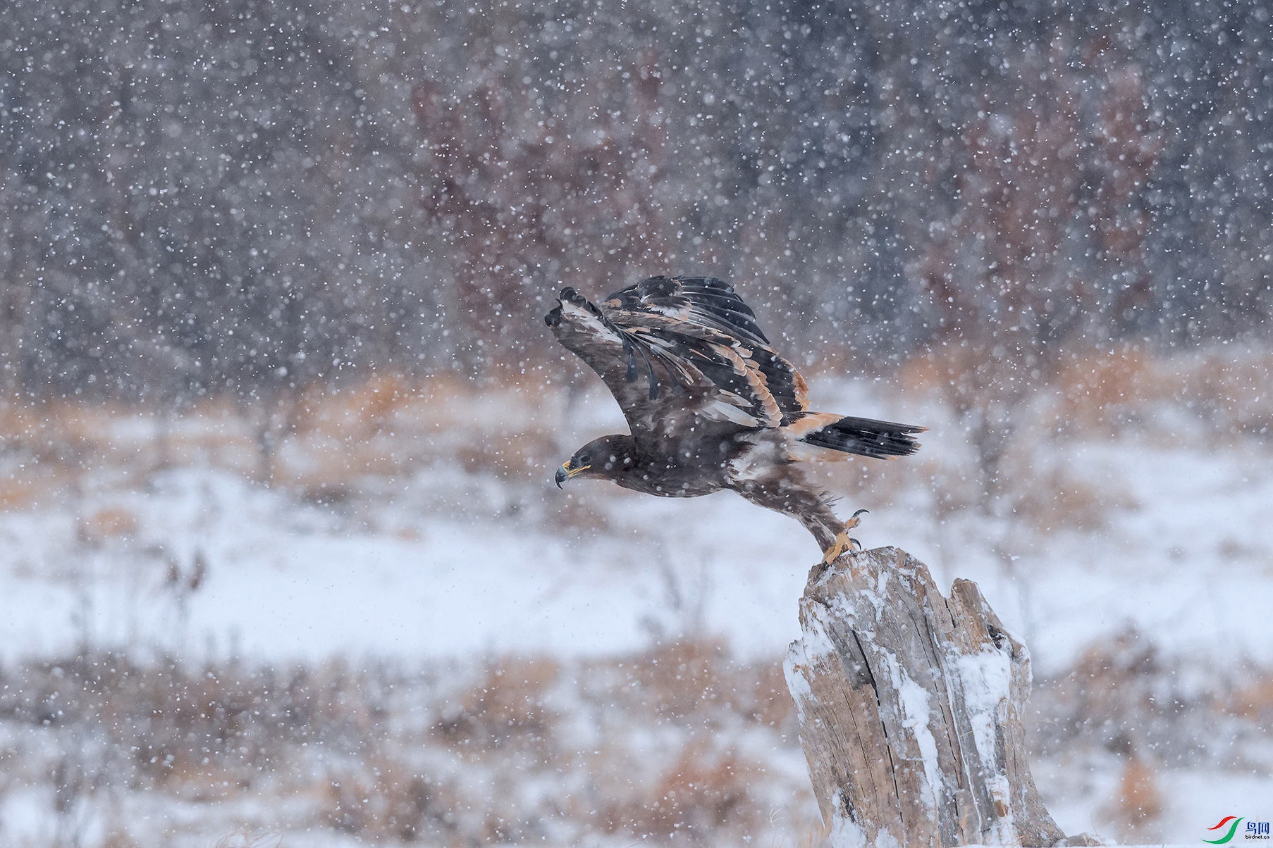 3DSC_0890_DxOa.jpg