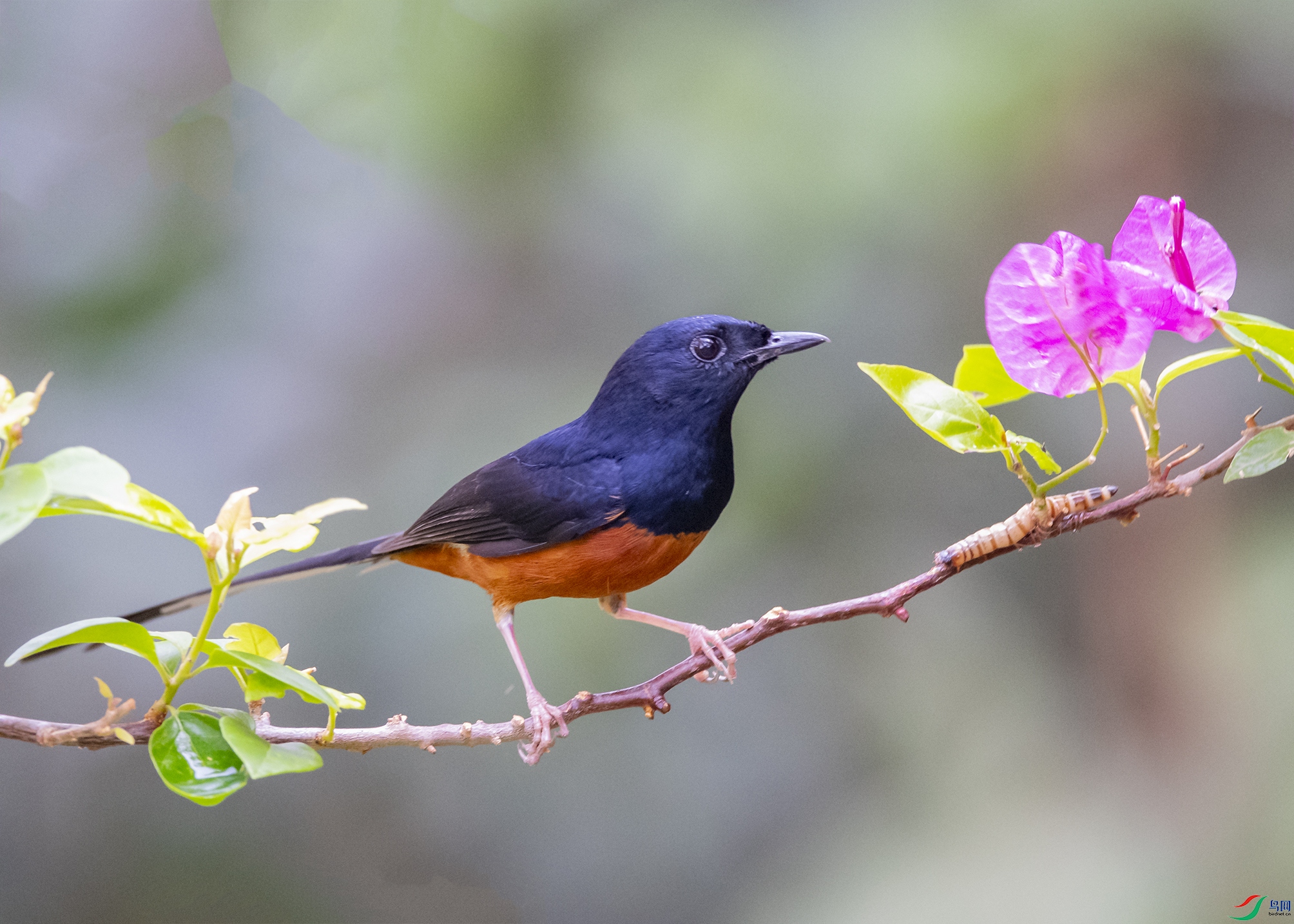 4958 ����.jpg