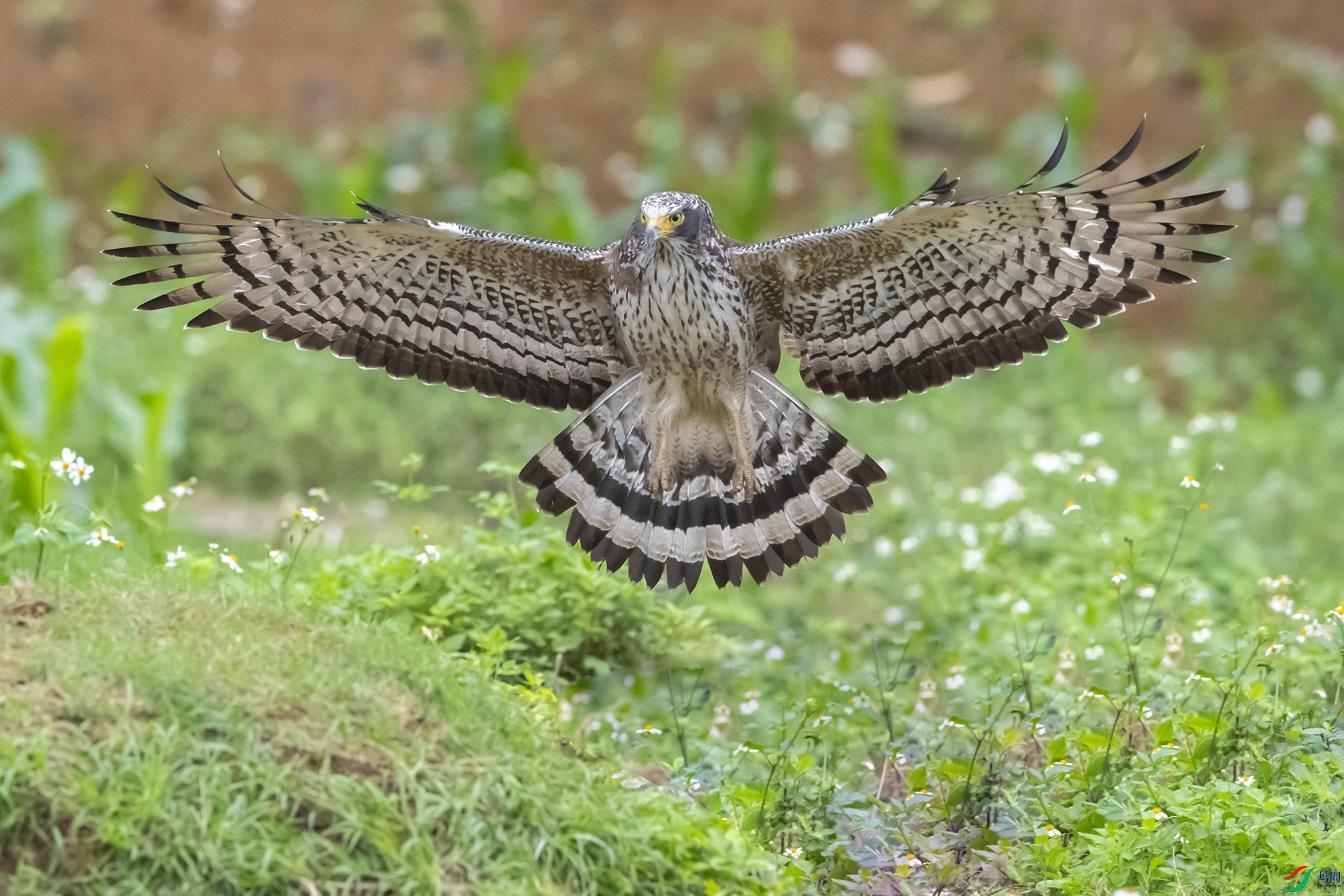 5360 ����.jpg