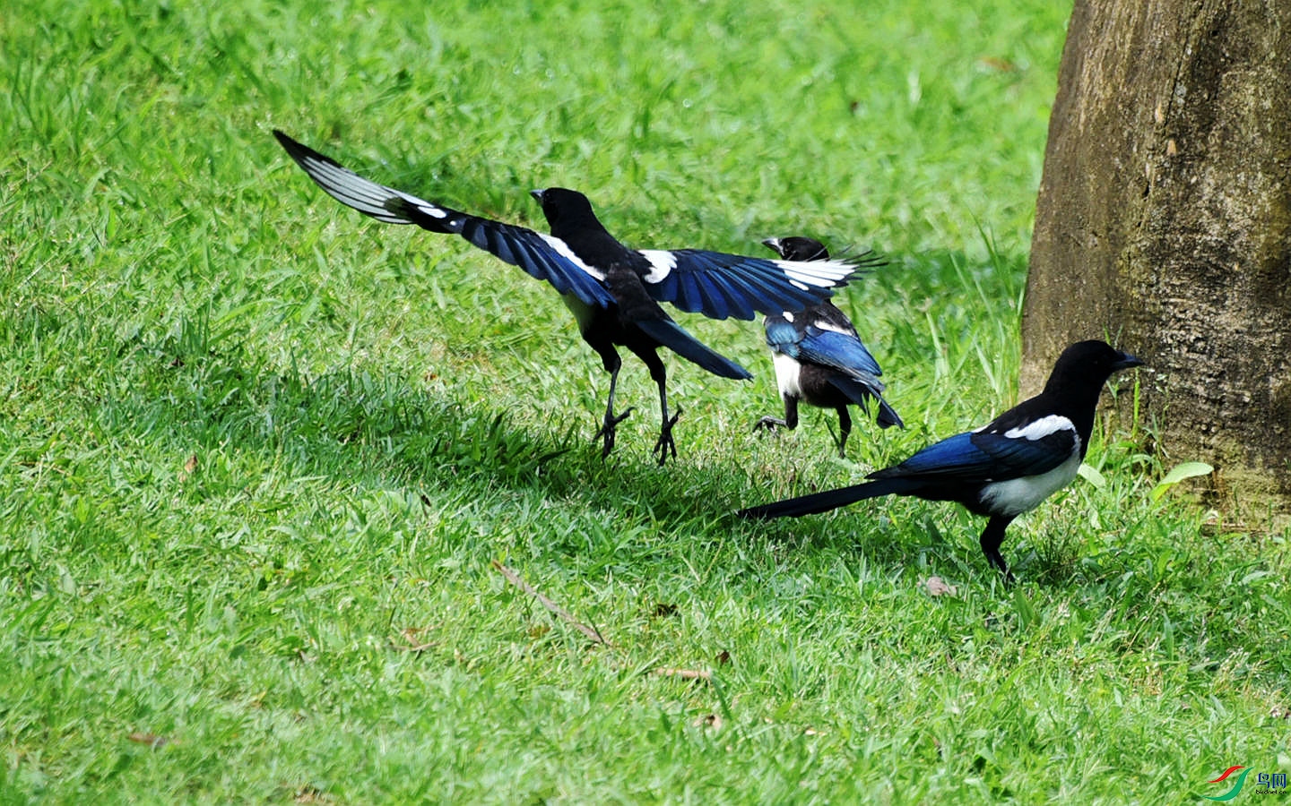 336 (271)_����.jpg