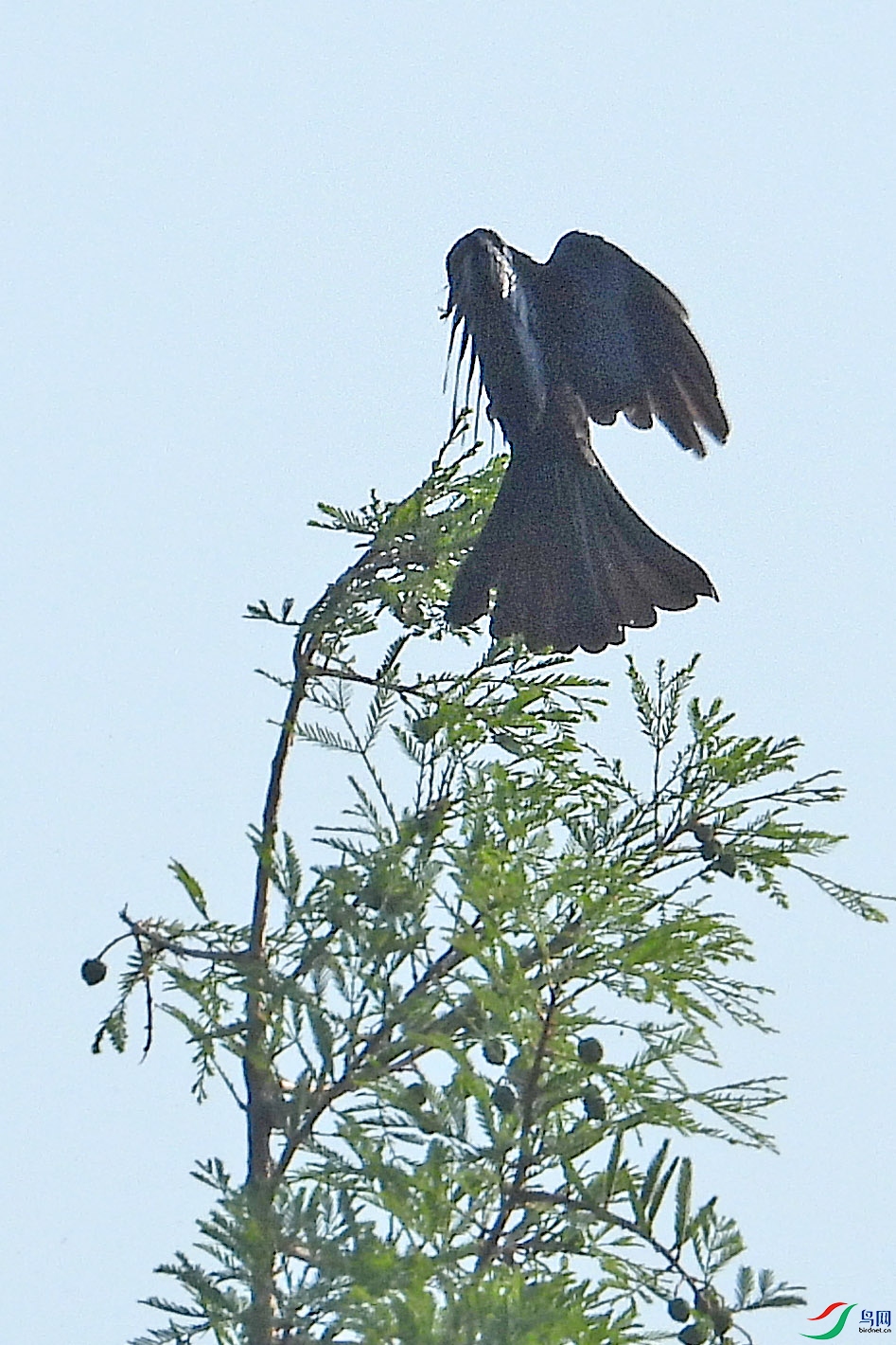 DSCN6040.JPG