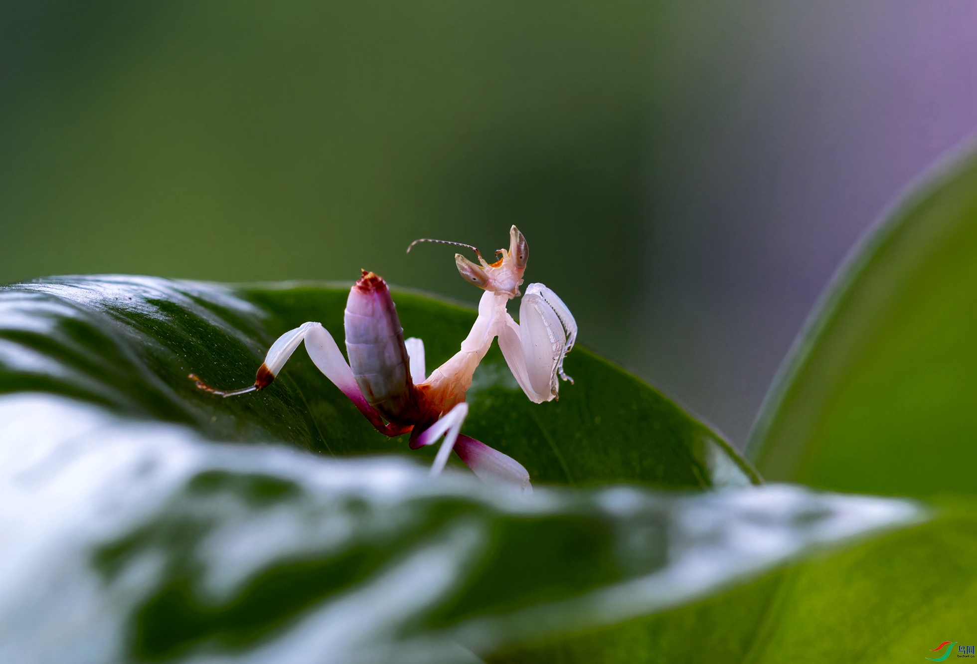 Y66A6782_DxO_����.jpg