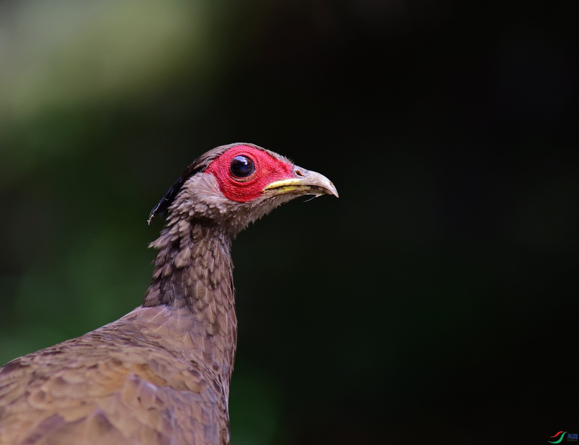 D8I_6770.jpg