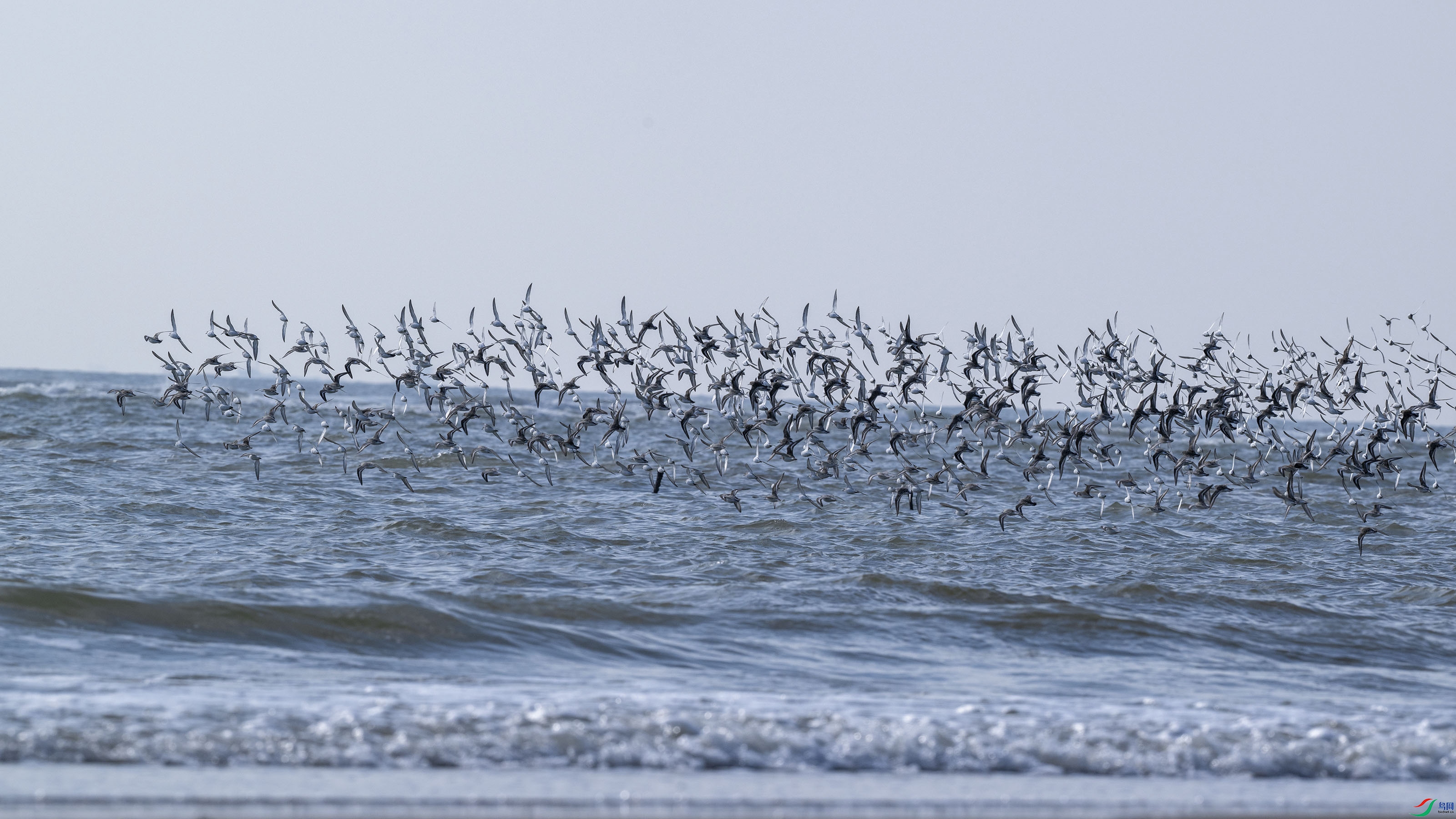 _DSC1382 ���� 2.jpg