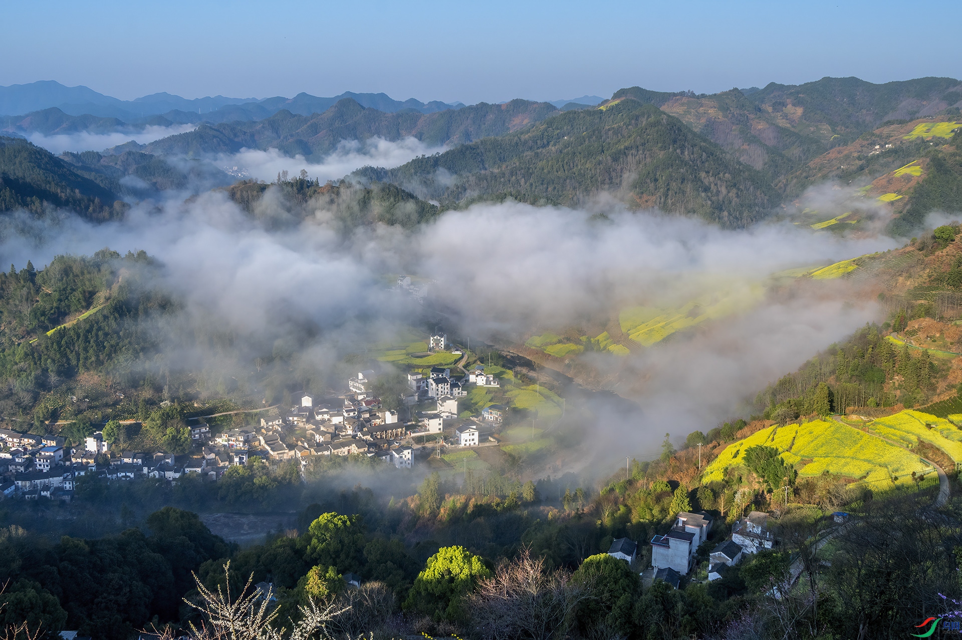 DSC_1557 - ��������ɢȥ.jpg